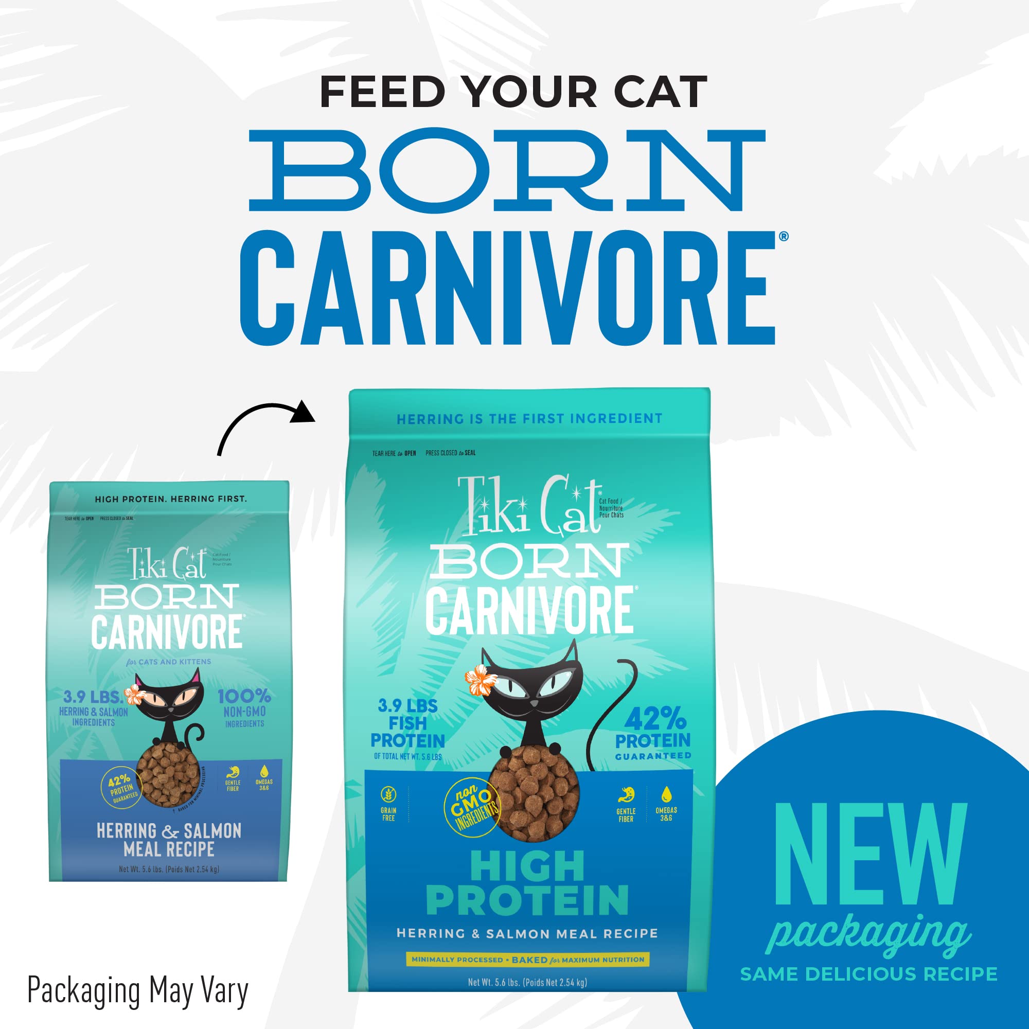 Tiki Cat Born Carnivore High Protein, Herring & Salmon Meal, Grain-Free Baked Kibble to Maximize Nutrients, Dry Cat Food, 5.6 lb