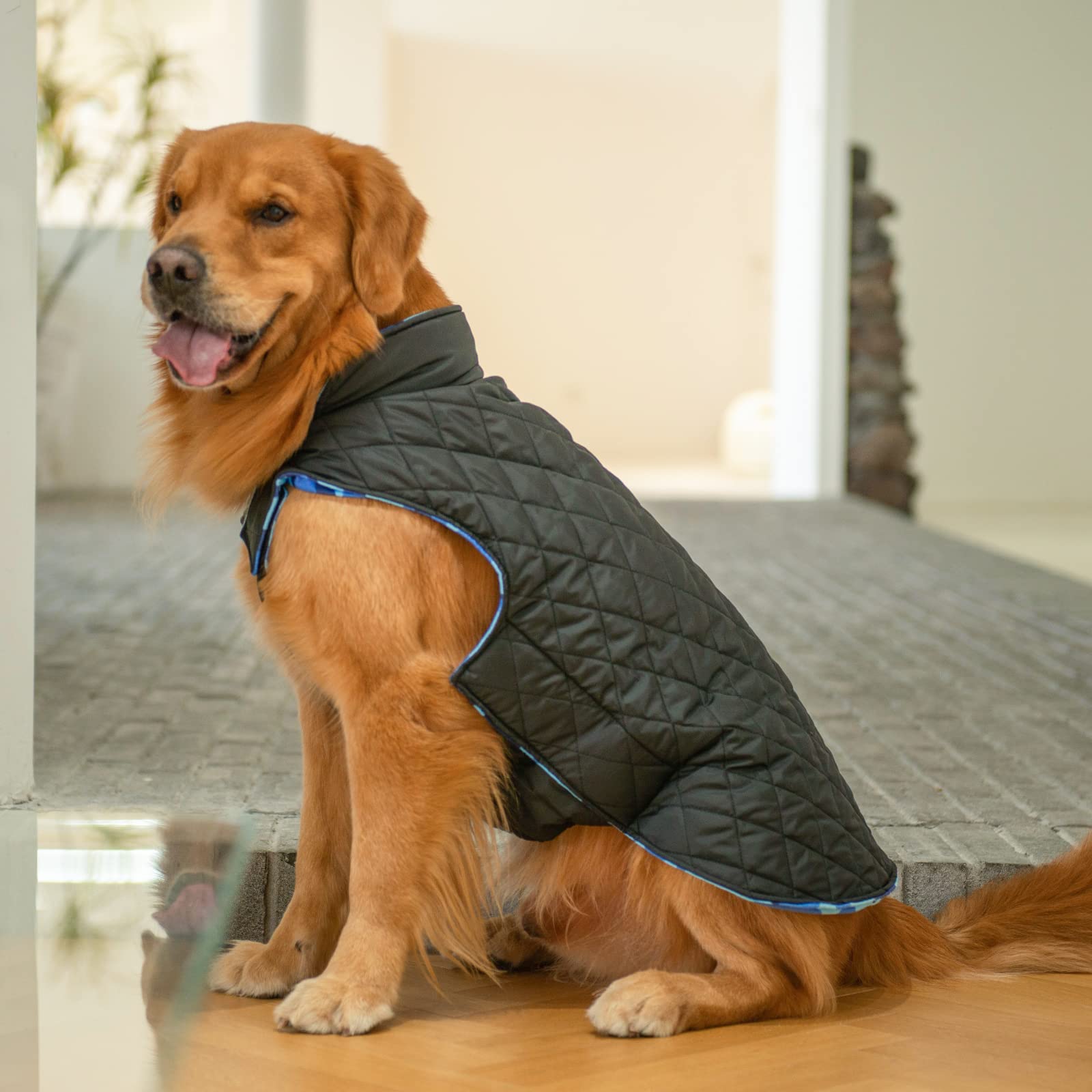 Cutebone Winter Dog Coat - Waterproof Windproof Reversible Coat For Small To Large Dogs - Soft, Thick Cold Weather Jacket With L