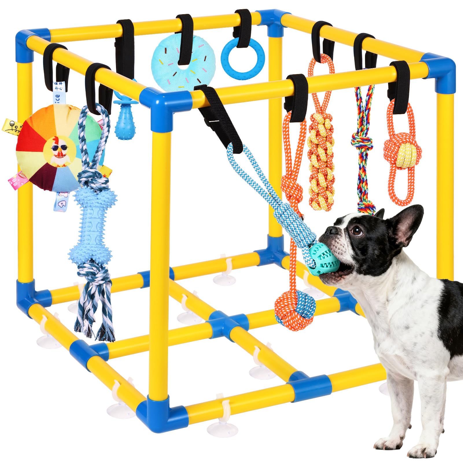 WLLEYAY Puppy Play Gym for Small Dogs with 10 Hanging Toys, Removable Indoor Jungle Gym, PVC Frame with Adjustable Bungee Straps