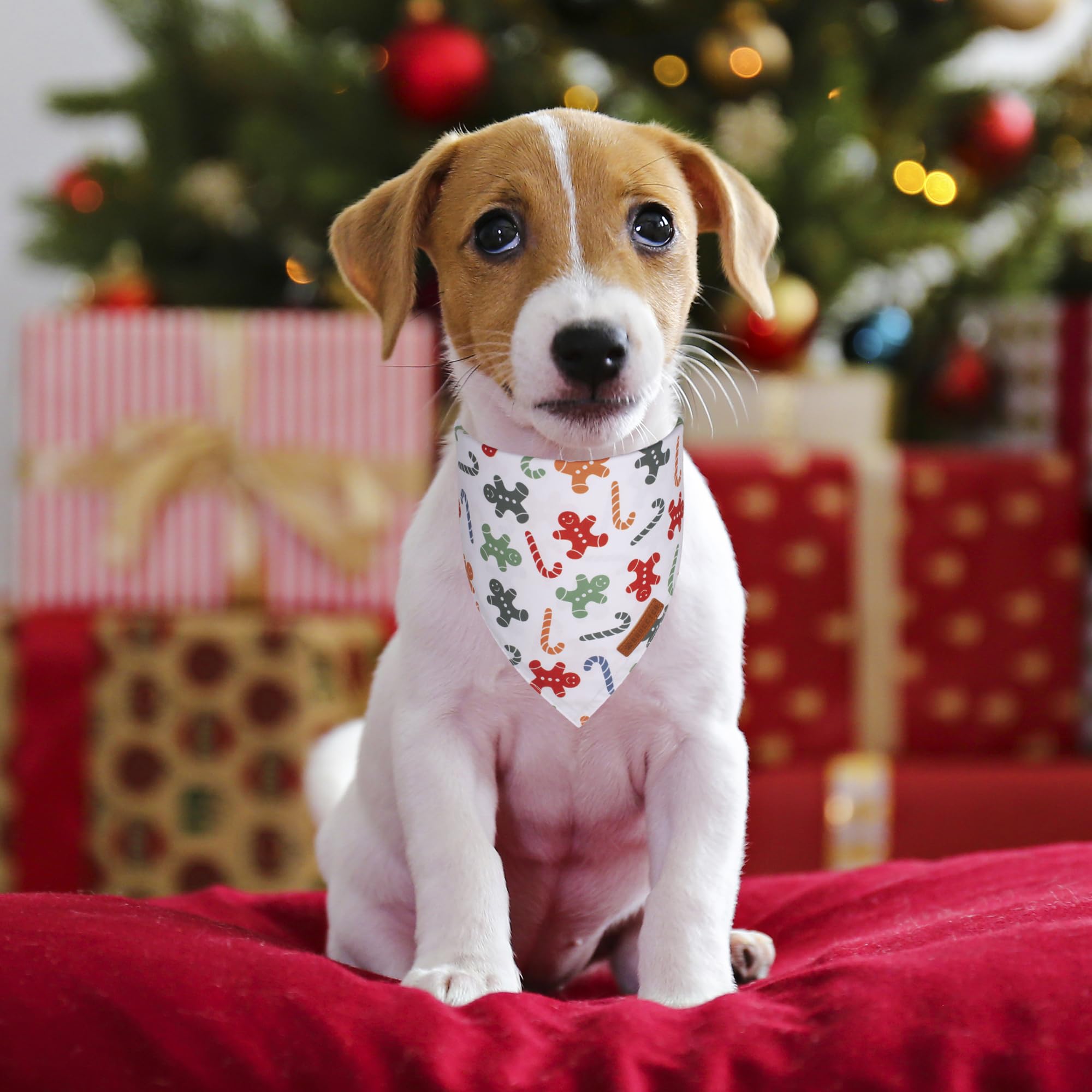Adoggygo Christmas Dog Bandanas, Xmas Tree Candy Scarf, Premium Durable Fabric, White Christmas Bandanas For Small Dogs Pets (Sm