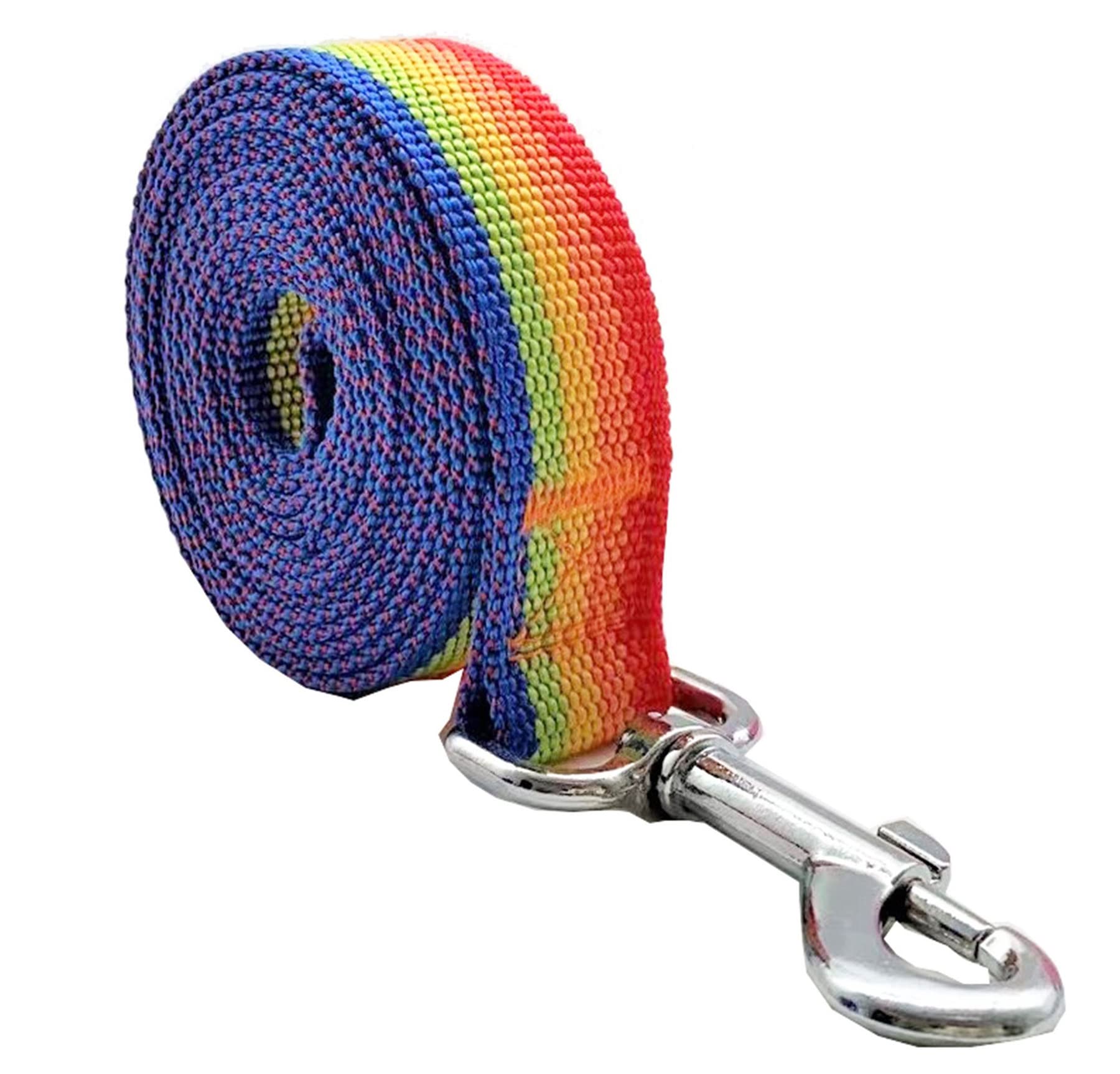 Nylon Dog Leash 12 Feet Long, Walking Training Dog Leashes For Medium Large Dogs(1'' X 12 Ft, Rainbow)