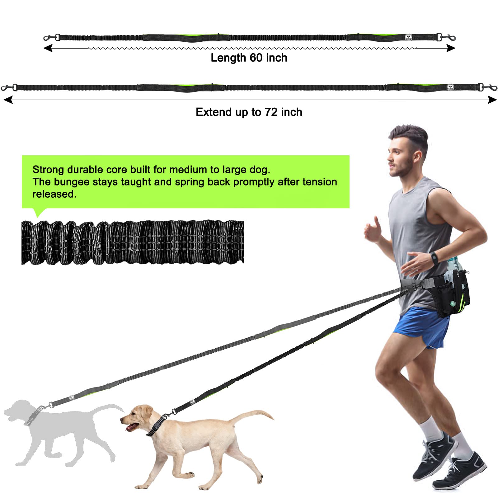 SHINE HAI Retractable Dog Leash for 2 Dogs, Adjustable Waist Belt, Nylon, Green/Black, Model MA-US22-DL, Reflective Stitching