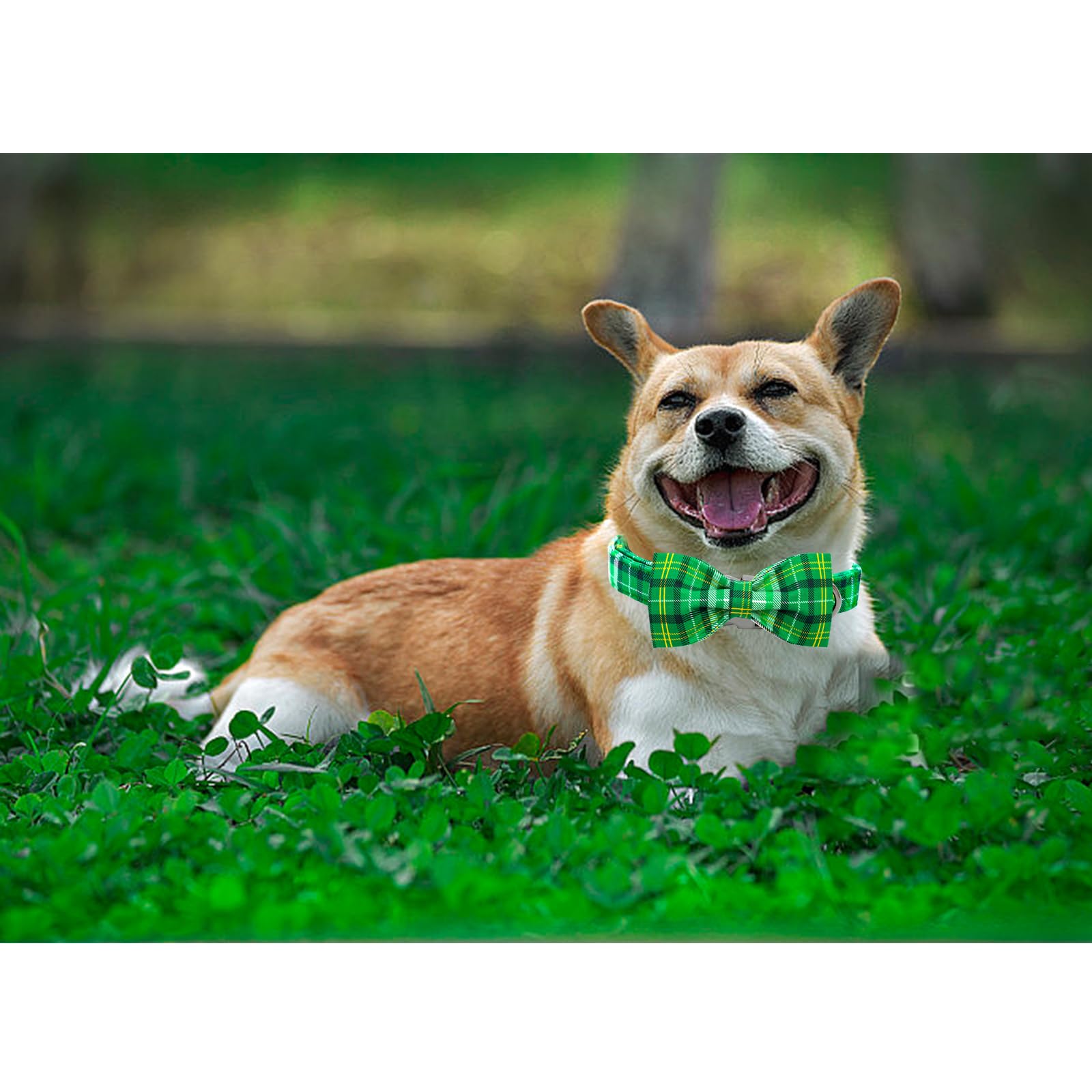 Lionheart Glory Dog Bow Collar St. Patrick'S Day Dog Collar For Large Dogs, Adjustable Green Plaid Collars Spring Dog Collar Wit