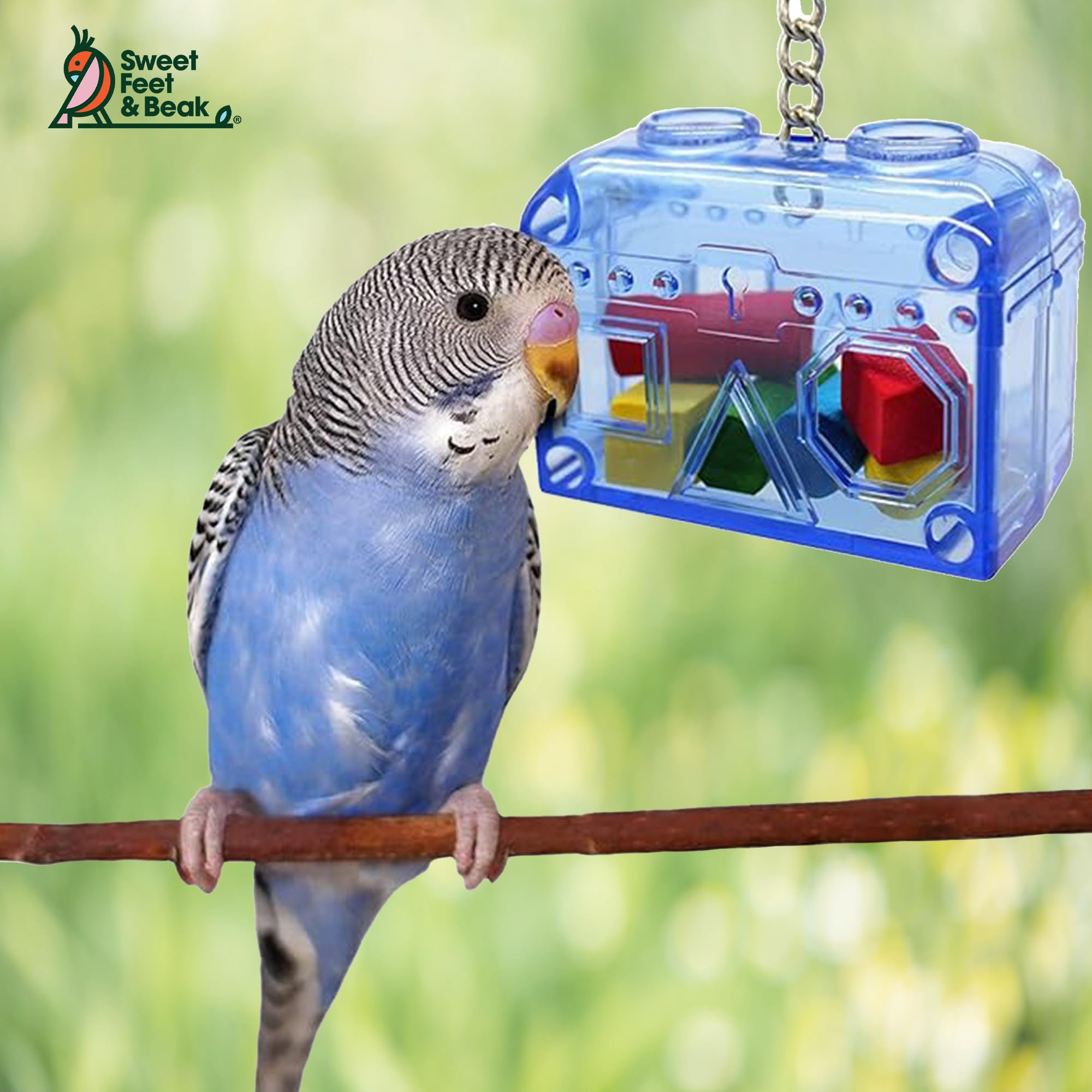 Sweet Feet and Beak Large or Small Treasure Chest - Perfect Bird Cage Toy Colorful, Safe, Easy to Install - Washable, Refillable