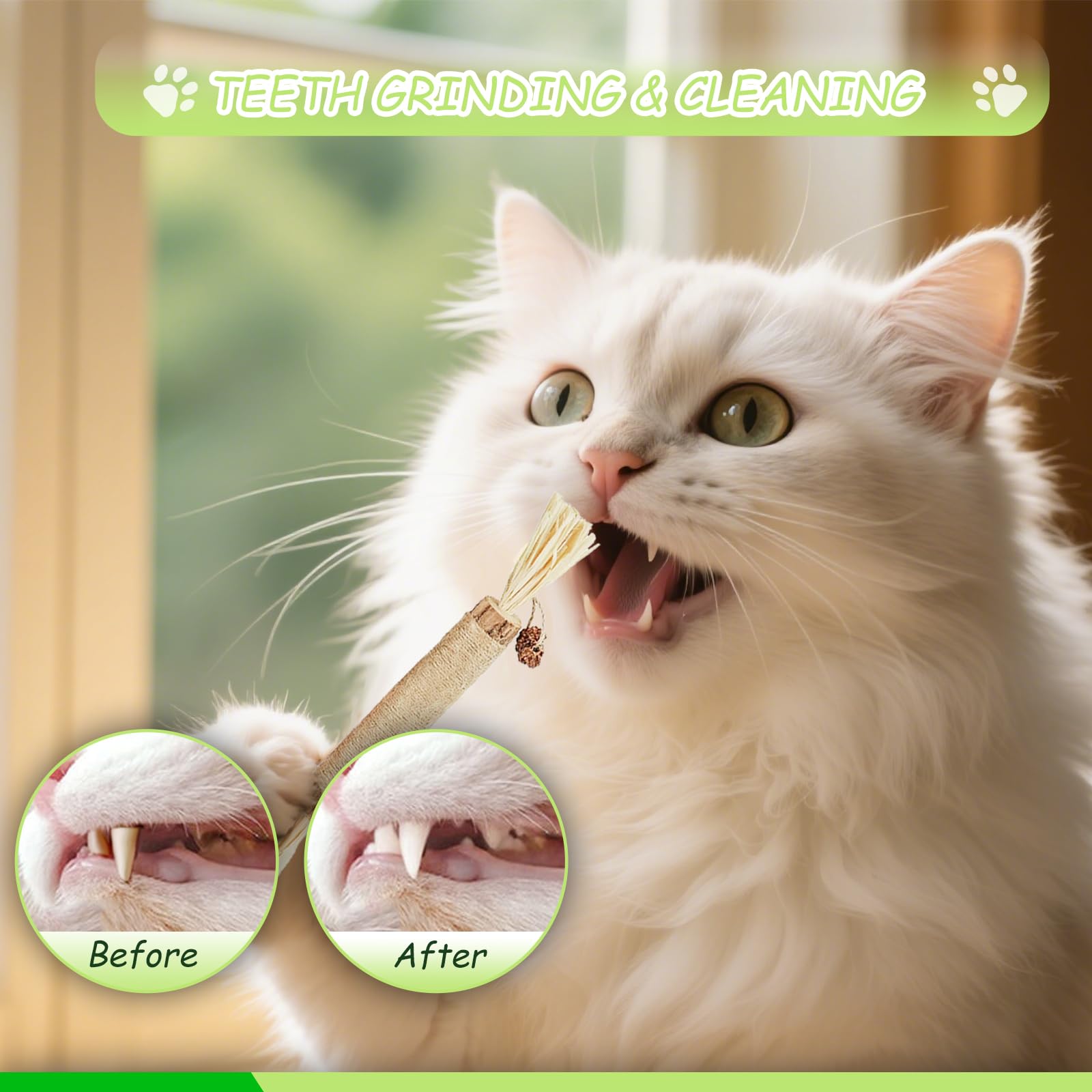 ZENGABIA Catnip Toys for Cats, Kitten Chew Toys Silvervine Sticks for Indoor Cats Teeth Cleaning 10 Pack, Interactive Treat Dent