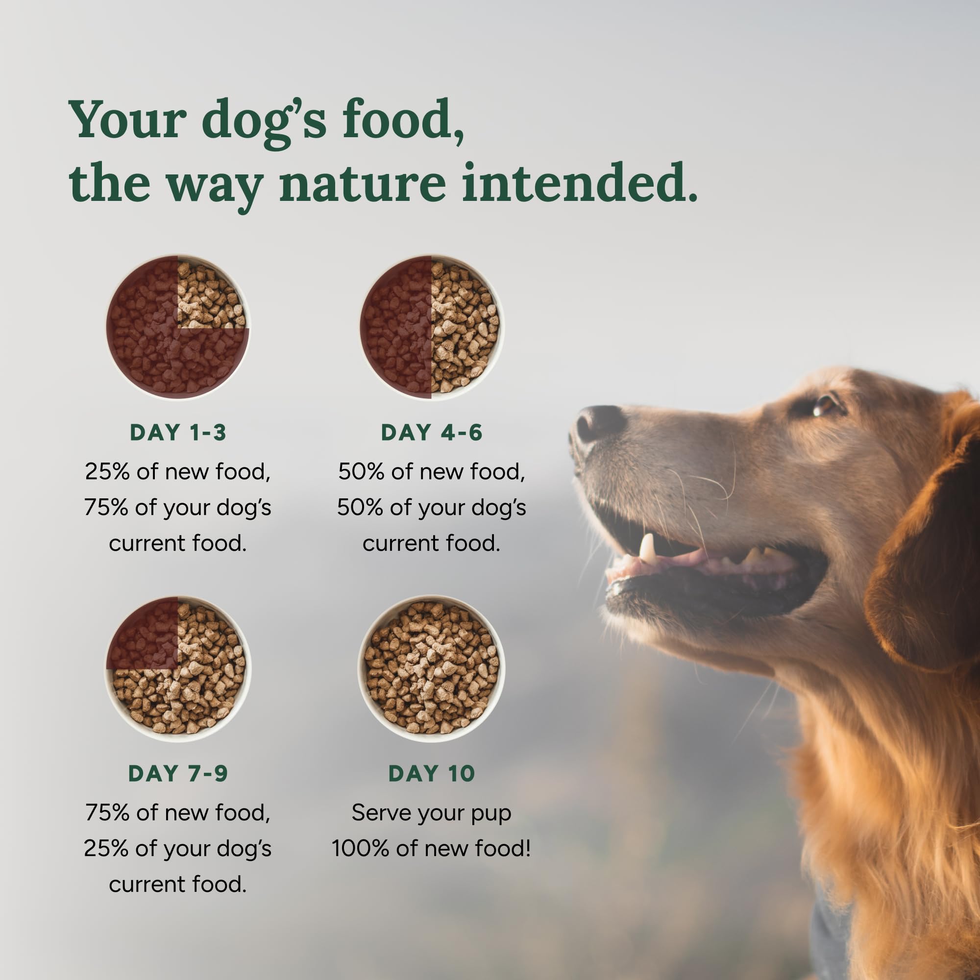360 Pet Nutrition Freeze-Dried Raw Dog Food, High Protein, Balanced Meal, Chicken, Liver, Heart, Fruit, Veggies, Superfoods, No