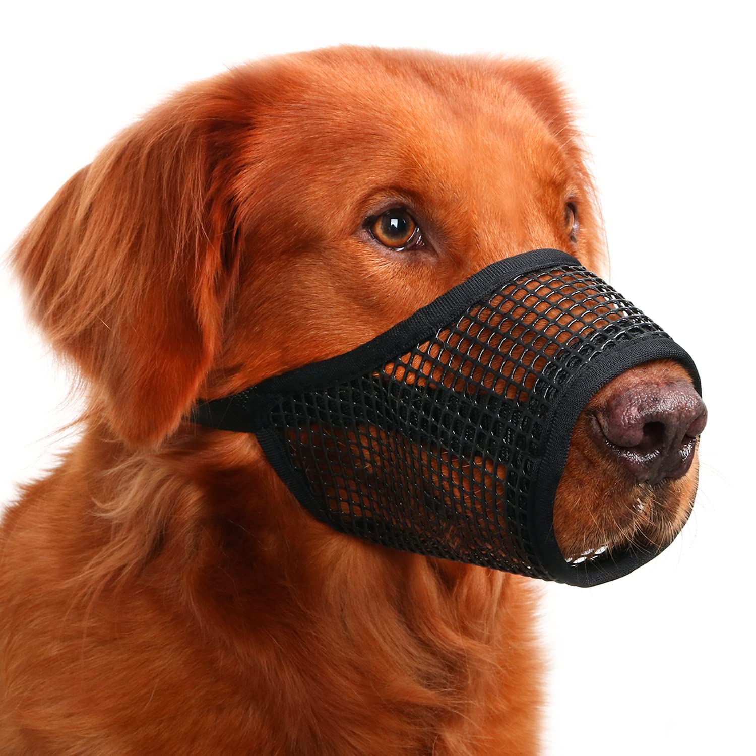Mayerzon Dog Muzzle, Soft Mesh Muzzles For Small Medium Large Dogs Chihuahua Poodle Husky Labrador Retriever, Breathable Dog Mouth Guard For Biting Chewing Grooming, Allow Panting Drinking(Xxl,Black)