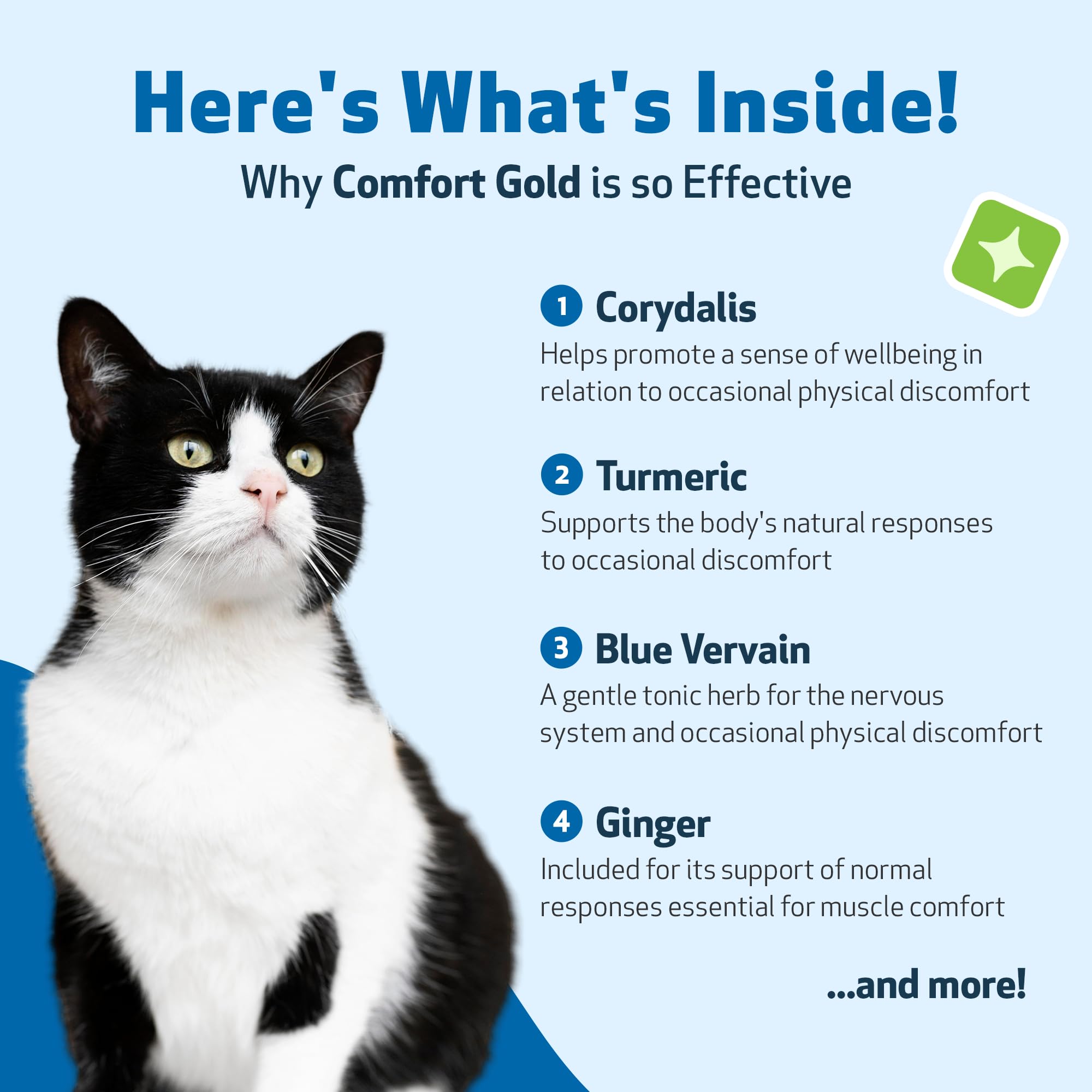 Pet Wellbeing Comfort Gold for Cats - Supports Feline Physical Comfort, Healthy Circulation, Corydalis, Turmeric - Veterinarian-
