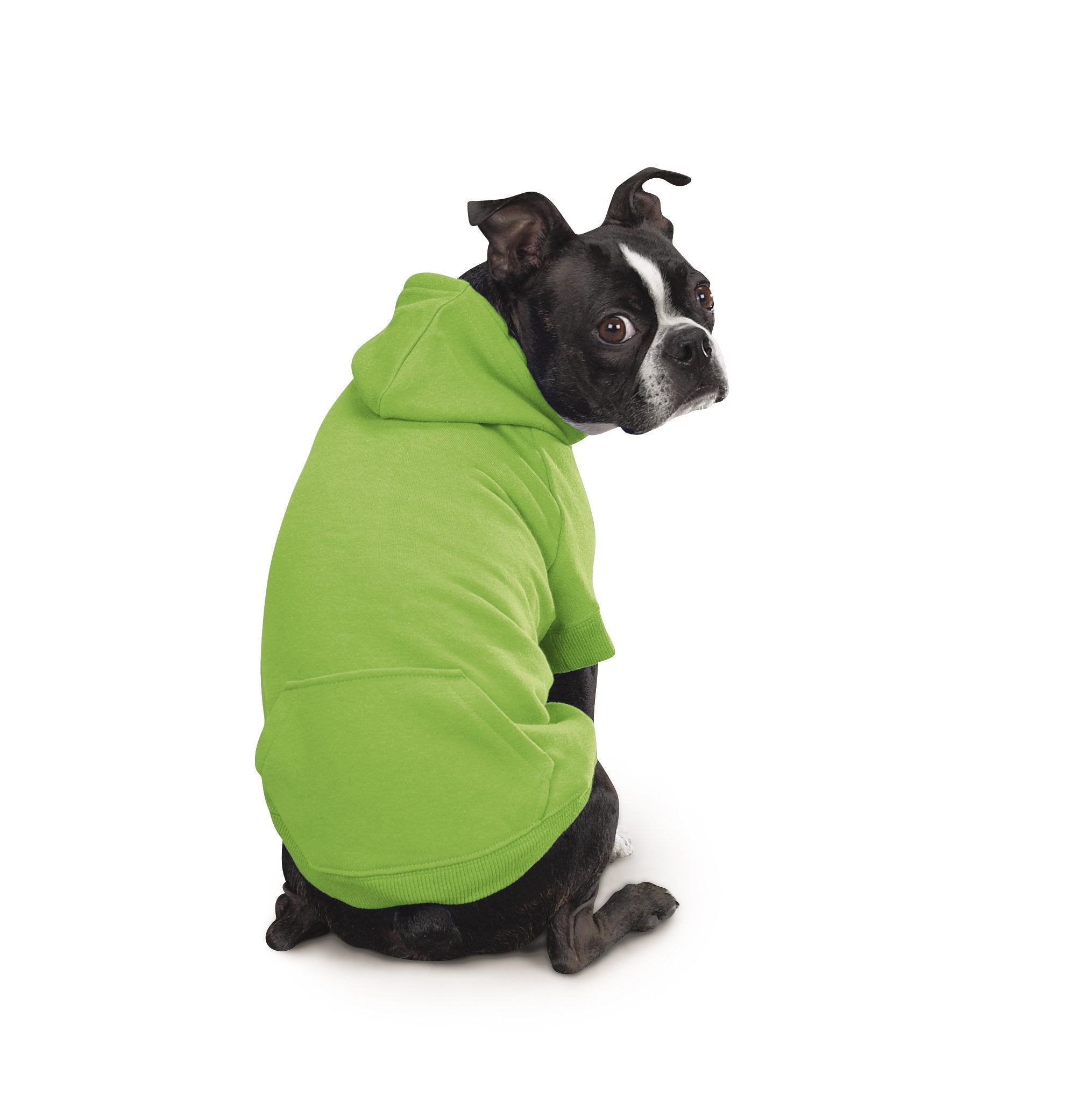 Zack & Zoey Basic Hoodie For Dogs, 20' Large, Parrot Green