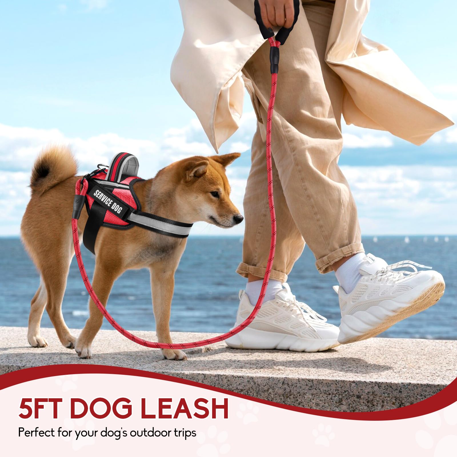 Service Dog Vest Harness And Leash Set, Animire In Training Dog Harness With 8 Dog Patches, Reflective Dog Leash With Soft Padded Handle For Small, Medium, Large, And Extra-Large Dogs (Red,M)