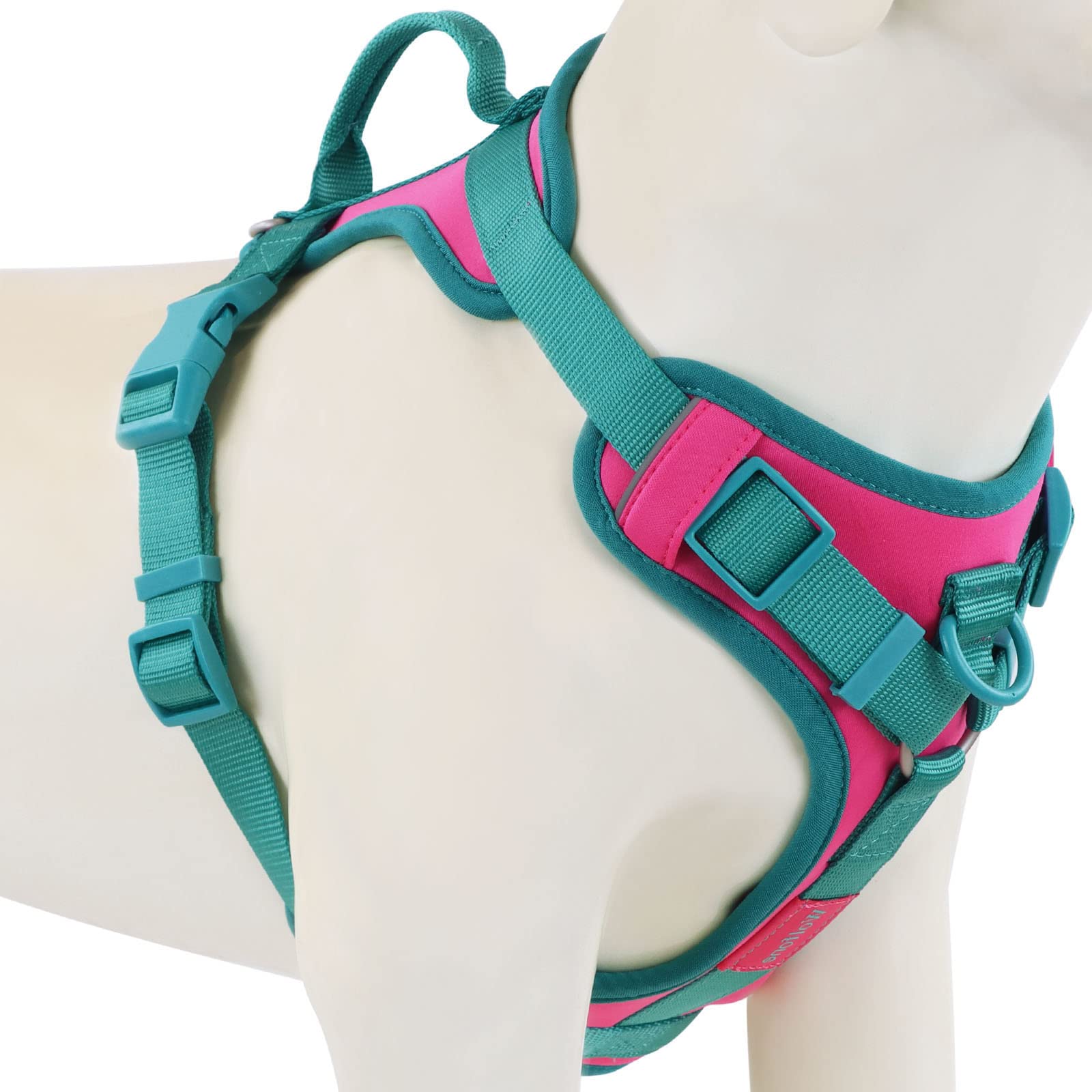 Wolfone No Pull Dog Harness Adjustable Soft Padded Pet Vest With Control Handle Adorable Daily Harness For Dogs(Pink Peacock Xl)