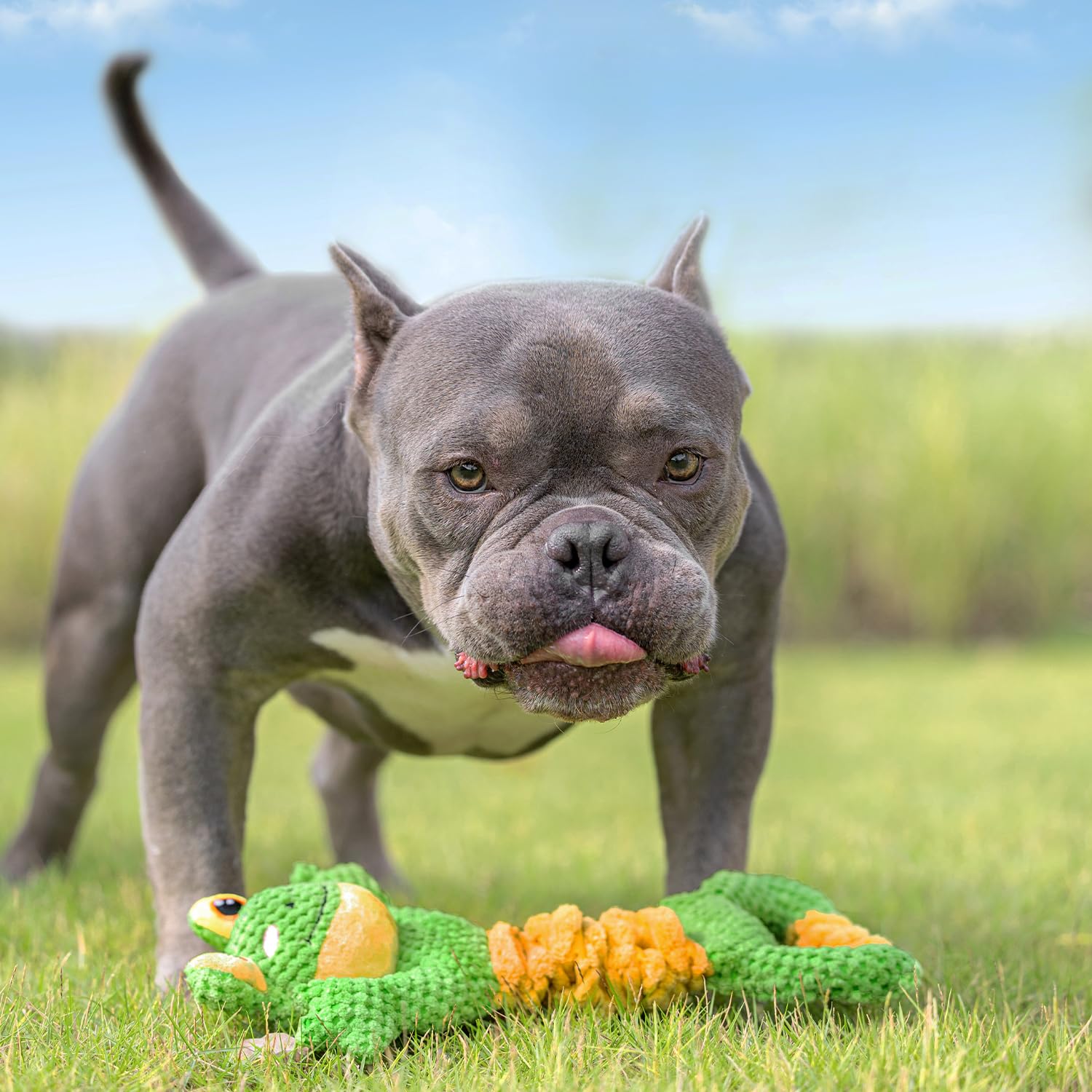 Sedioso Dog Tug Toy, Durable Dog Toys Large Breed, Tug Of War Dog Squeaky Toy, Stuffed Plush Dog Toys With Crinkle Paper For Sma