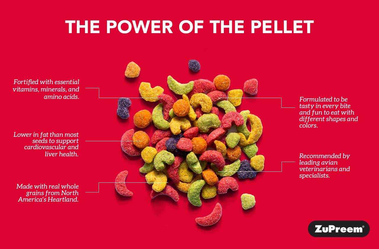 ZuPreem FruitBlend Flavor Pellets Bird Food for Small Birds, 2 lb (2-Pack) - Powerful Pellets Made in USA, Naturally Flavored fo