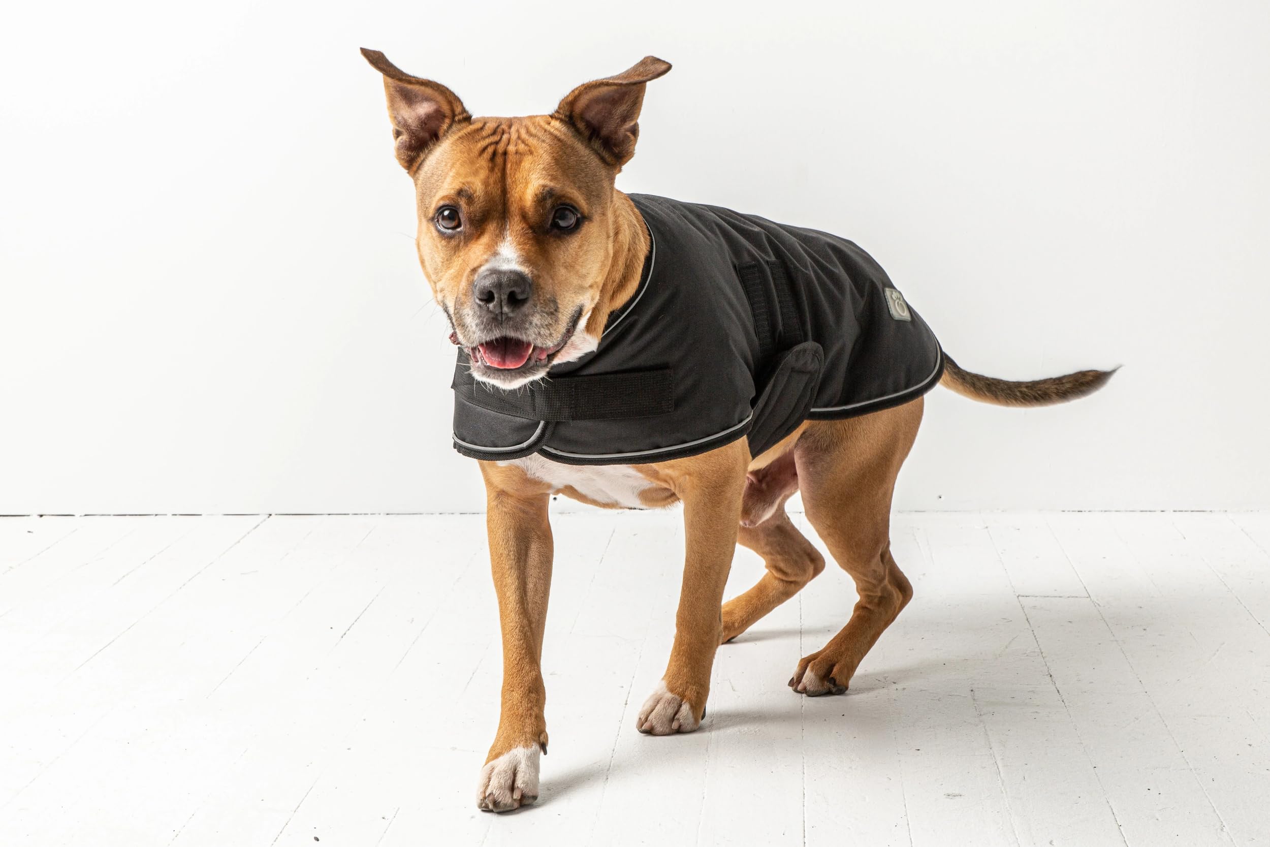 Gf Pet Blanket Jacket Dog Coat – Soft & Cozy Dog Jacket For Dogs | Warm Sherpa Lining | Stylish Winter Coat | For Breeds Small, Medium, Or Large – Black - 3Xl