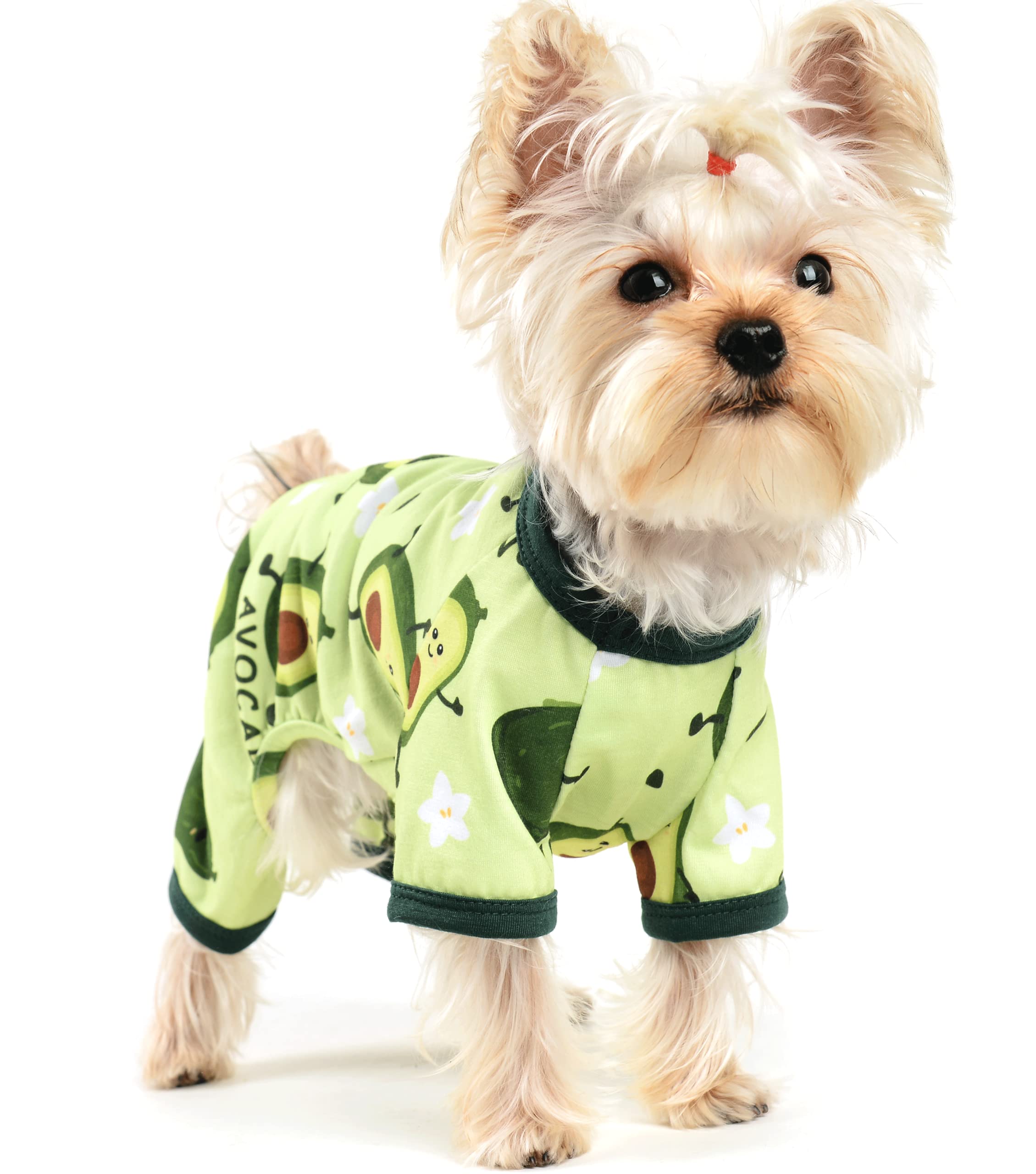 Yikeyo Dog Pajamas for Small Dogs, Soft Thin Pjs Jammies Cat Doggie, Summer Pet Cute Puppy Clothes Outfits Dogs Boy Girl(Avocado,XXL) -Like New