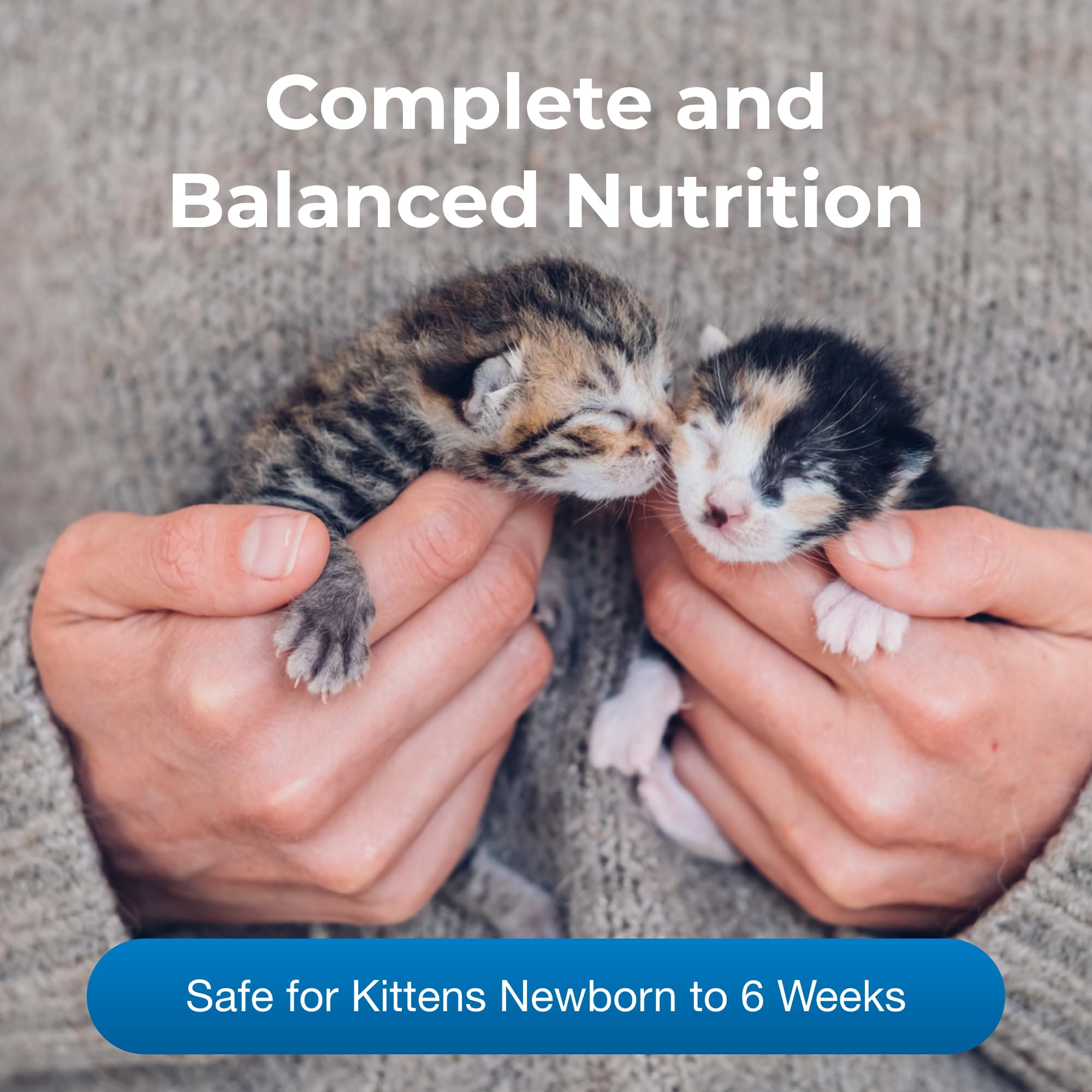 PetAg KMR Kitten Milk Replacer Powder - 6 oz, Pack of 2 - Powdered Kitten Formula with Prebiotics, Probiotics & Vitamins for Kit