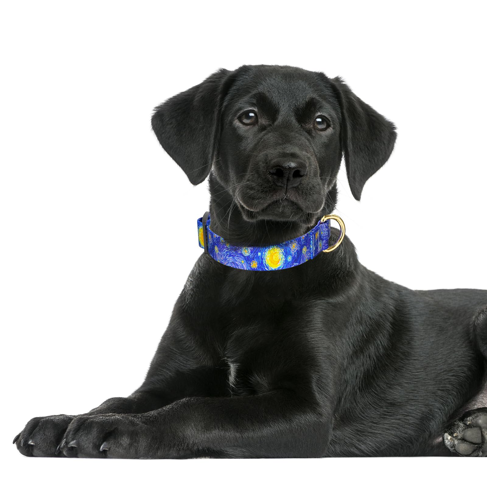 Rnivvi Dog Collar For Large Dogs, Cute Heavy Duty Adjustable Puppy Collar With Quick Release Buckle For Boy Girl & Female, Pet A