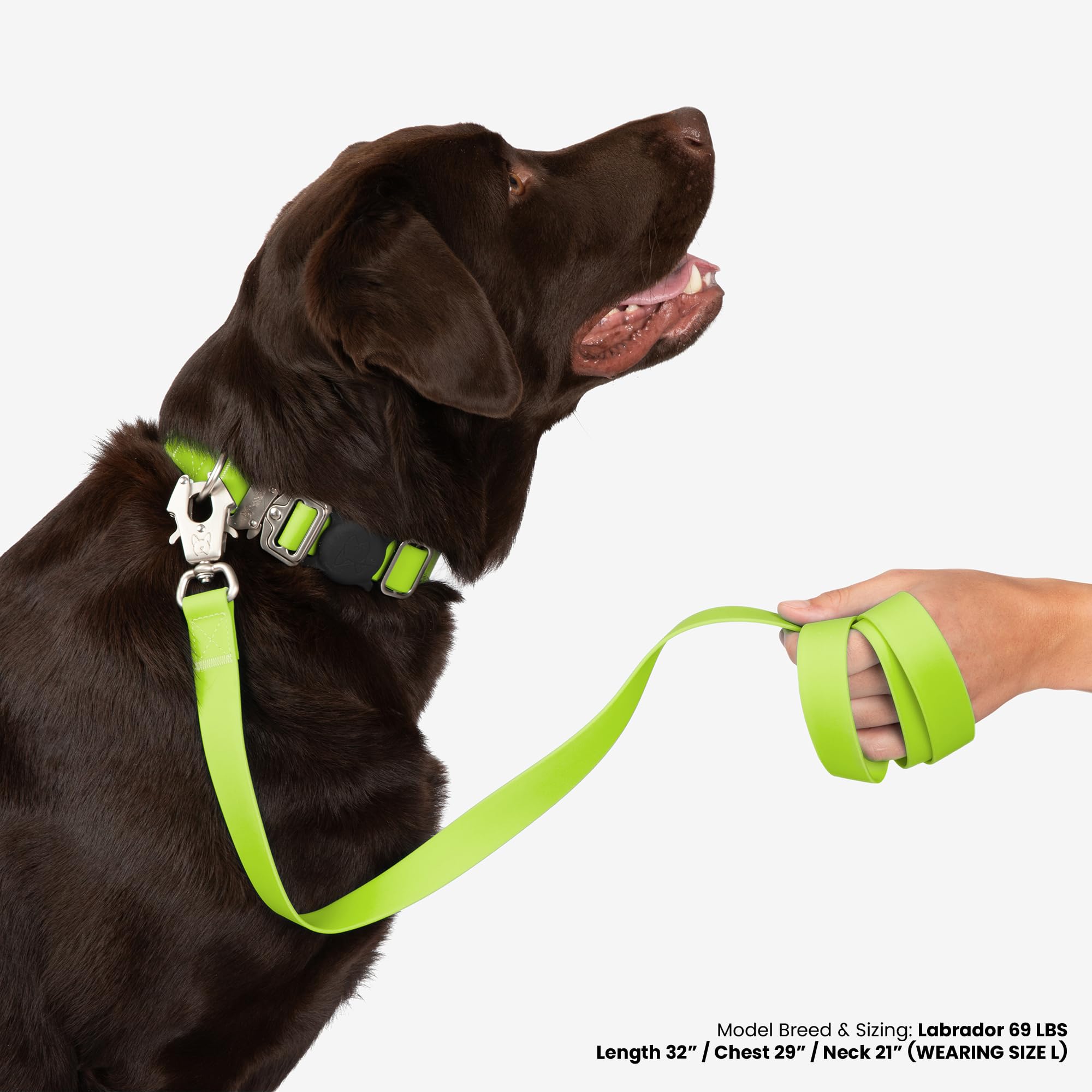 Nandog The Signature Collection Waterproof Poly-Flex Sport Dog Collar In Large, Neon Green - Durable & Adjustable Design - Comfo