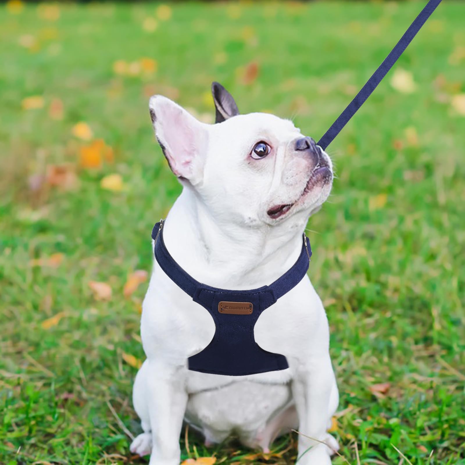 Dog Harness And Leash Set, Xs No Pull Adjustable Puppy Harness With Multifunction Denim Blue Dog Leash And Collar, Soft No Choke