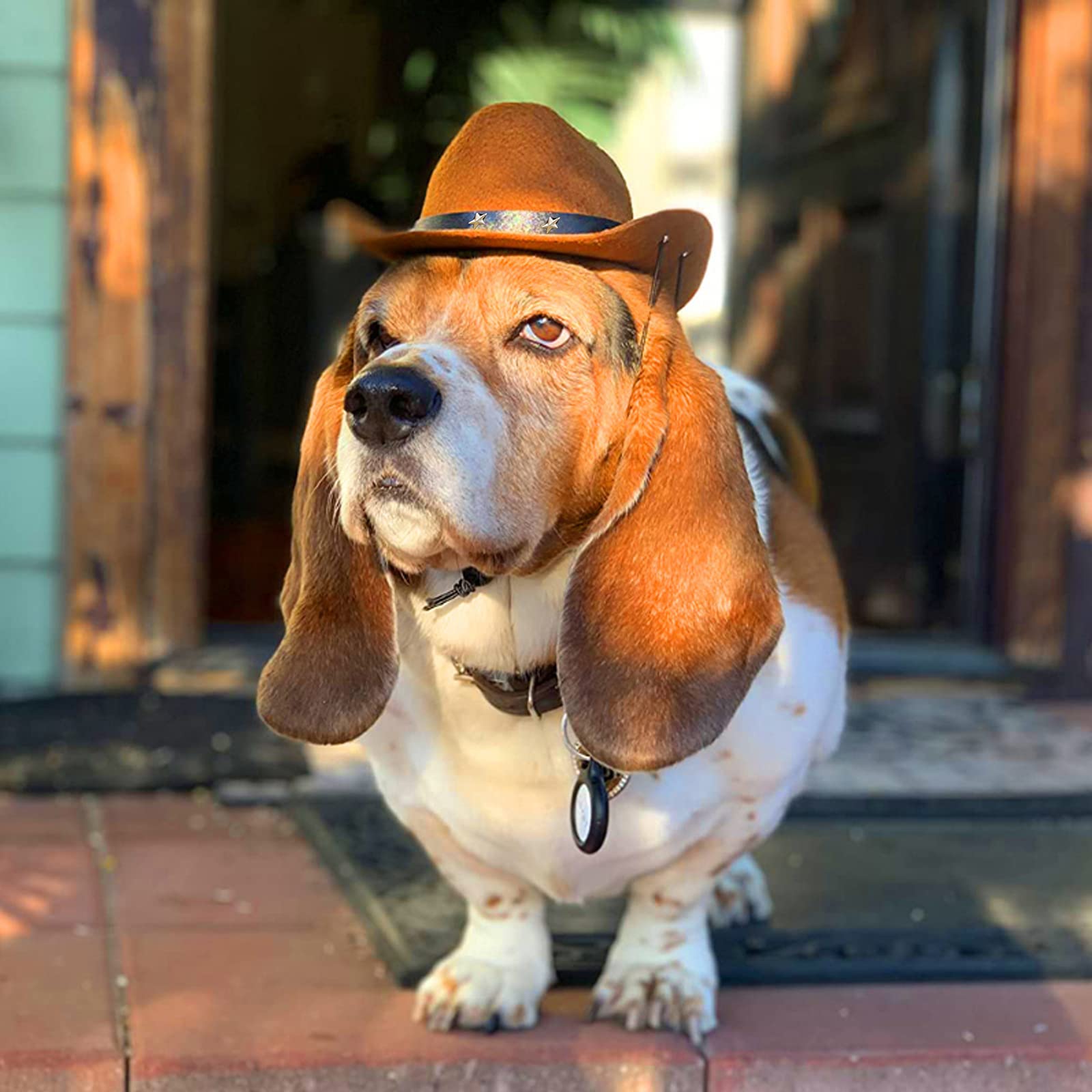 Awocan Dog Cowboy Hat And Bandana Scarf Dog Cat Sombrero Puppy Hat Dog Cat Costume Cosplay Cap Puppy Pet Dog Cat Holiday Pet Party Decoration (Coffee)