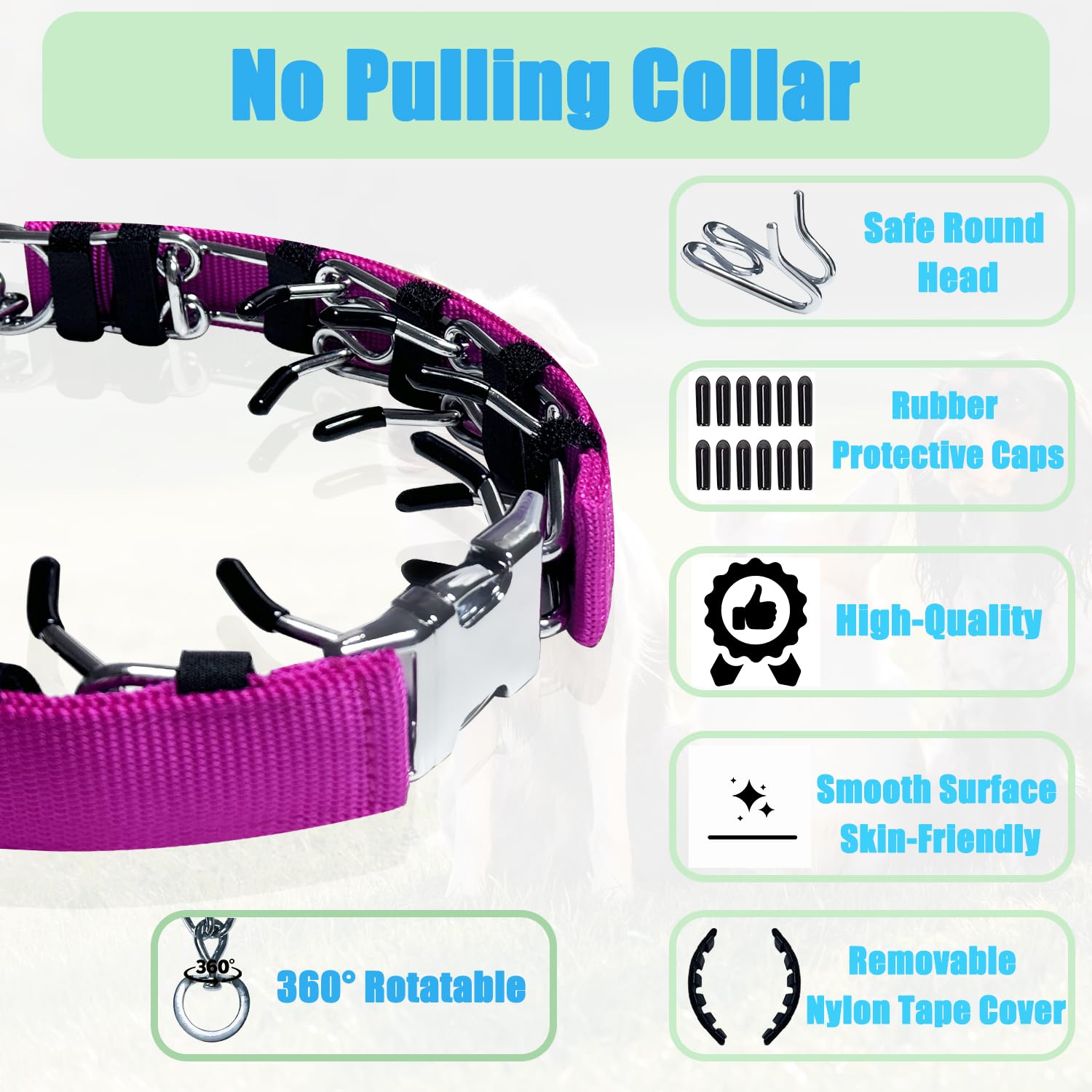 No Pull Dog Adjustable Collar with Buckle for Small Medium Large Dogs