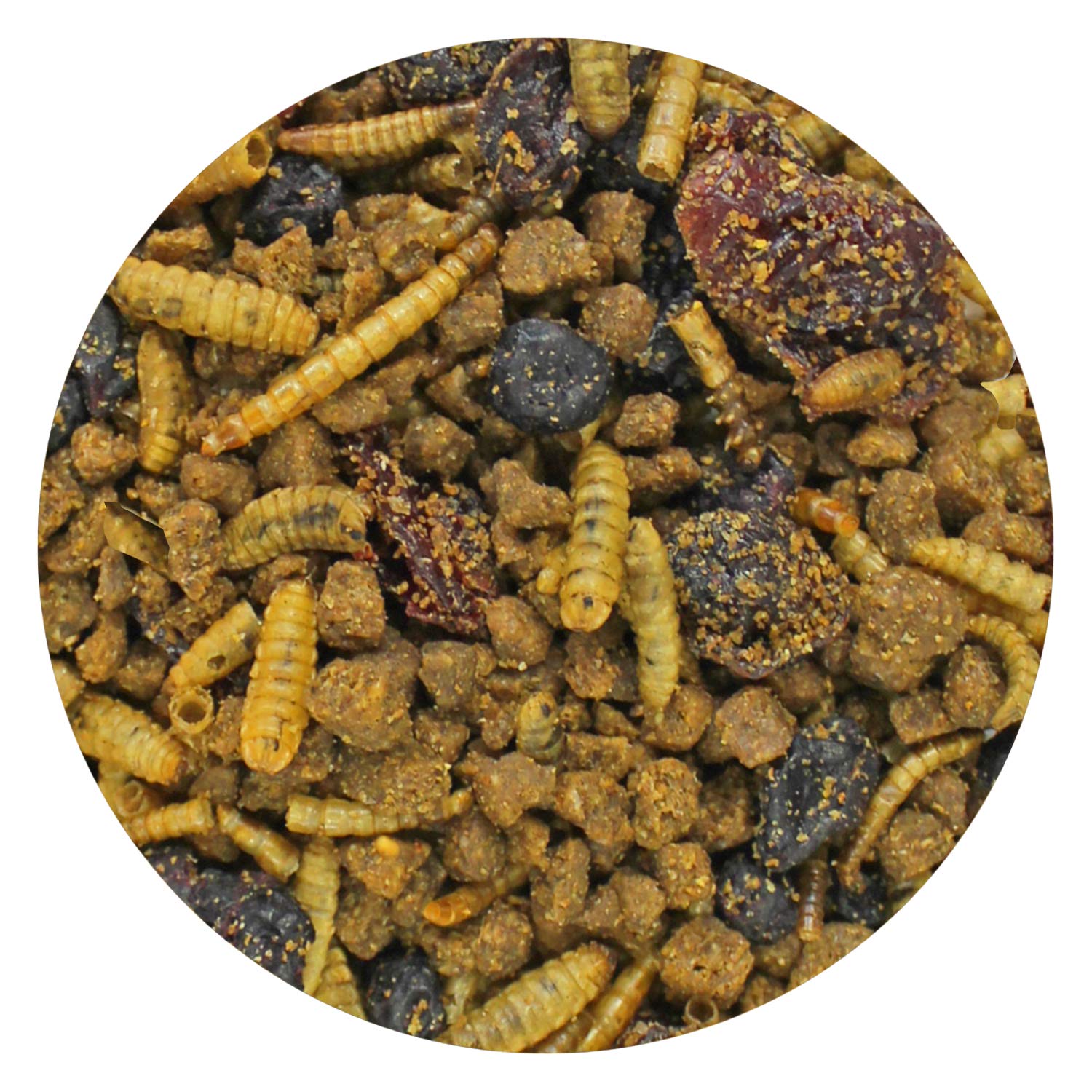 Exotic Nutrition Berries & Bugs - High Protein High Fiber Food for Hedgehogs, Skunks, Opossums, Sugar Gliders, 1.5 lb