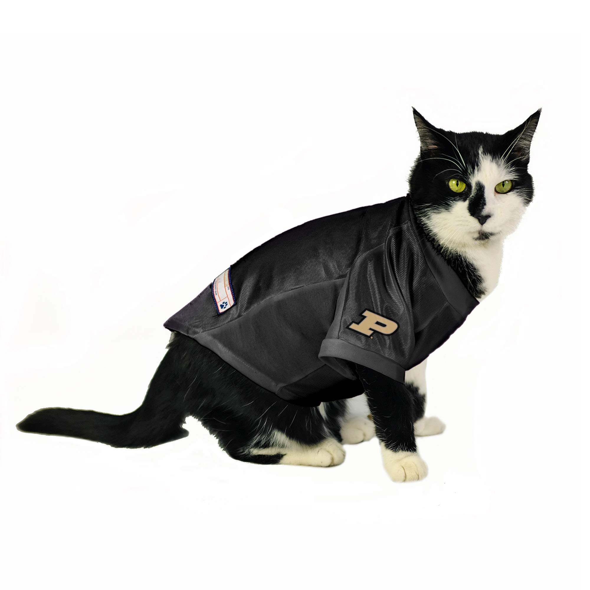 Purdue Boilermakers Pet Jersey Stretch Size Xs - Special Order