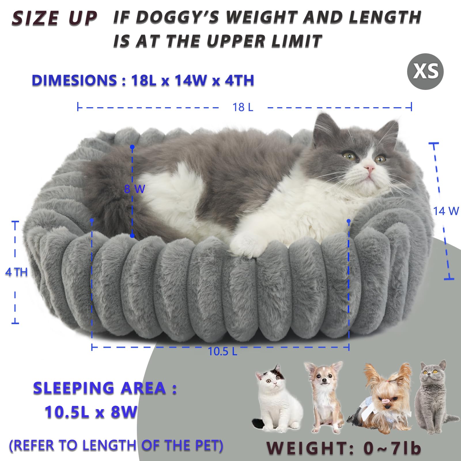 Zihapgpzp Small Cat Beds For Indoor Cats Washable Furry Kitten Beds With Sides,Rectangle Orthopedic Soft Calming Comfy Sleeping