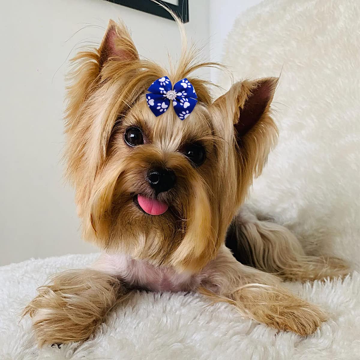 Pet Show 50Pcs/25Pairs Paw Pattern Small Dog Hair Bows Bulk With Rubber Bands For Medium Dogs Cats Puppy Shih Tzu Rhinestone Bowknot Topknot Yorkies Rabbits Girl Boy Pet Grooming Hair Accessories