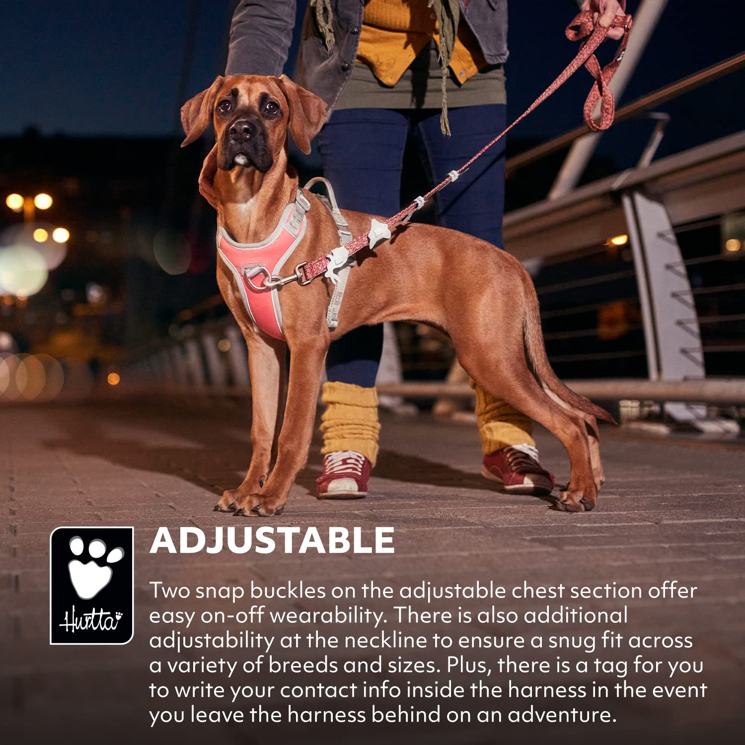 Hurtta Venture No-Pull Dog Harness, Bilberry, 16-18 In