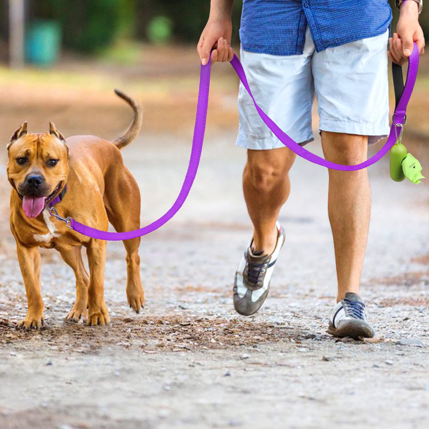 Joytale Double-Sided Reflective Dog Leash, 6 Ft/5 Ft/4 Ft, Padded Handle Nylon Dogs Leashes For Medium & Large Dogs Walking, Purple, 6Ft