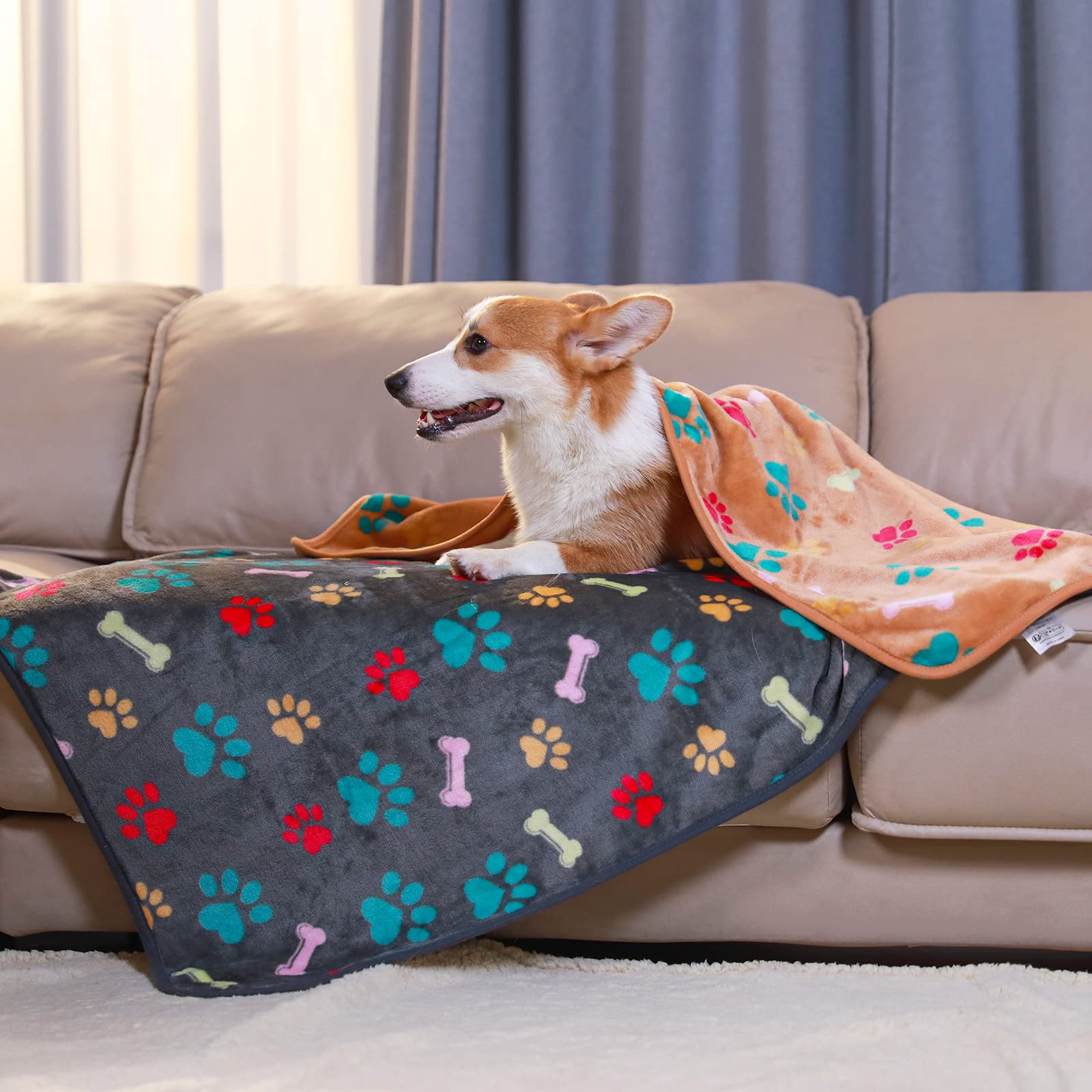 Luciphia 1 Pack 6 Dog Blankets Cat Soft Fluffy Fleece Pet Blanket Warm Cute Print Design Puppy Kitten Doggy Bone Large(41''X31''