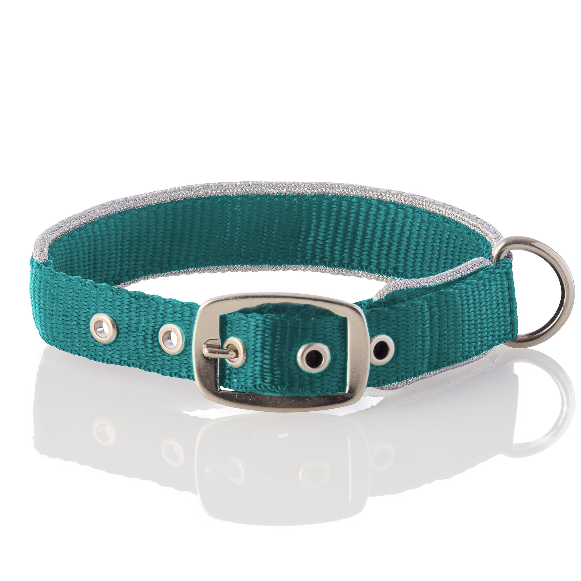 Pet Passion Adjustable Silver Trimmed Dog Collar For Pets Small, Medium And Large Dogs, Silver/Turquoise, Large