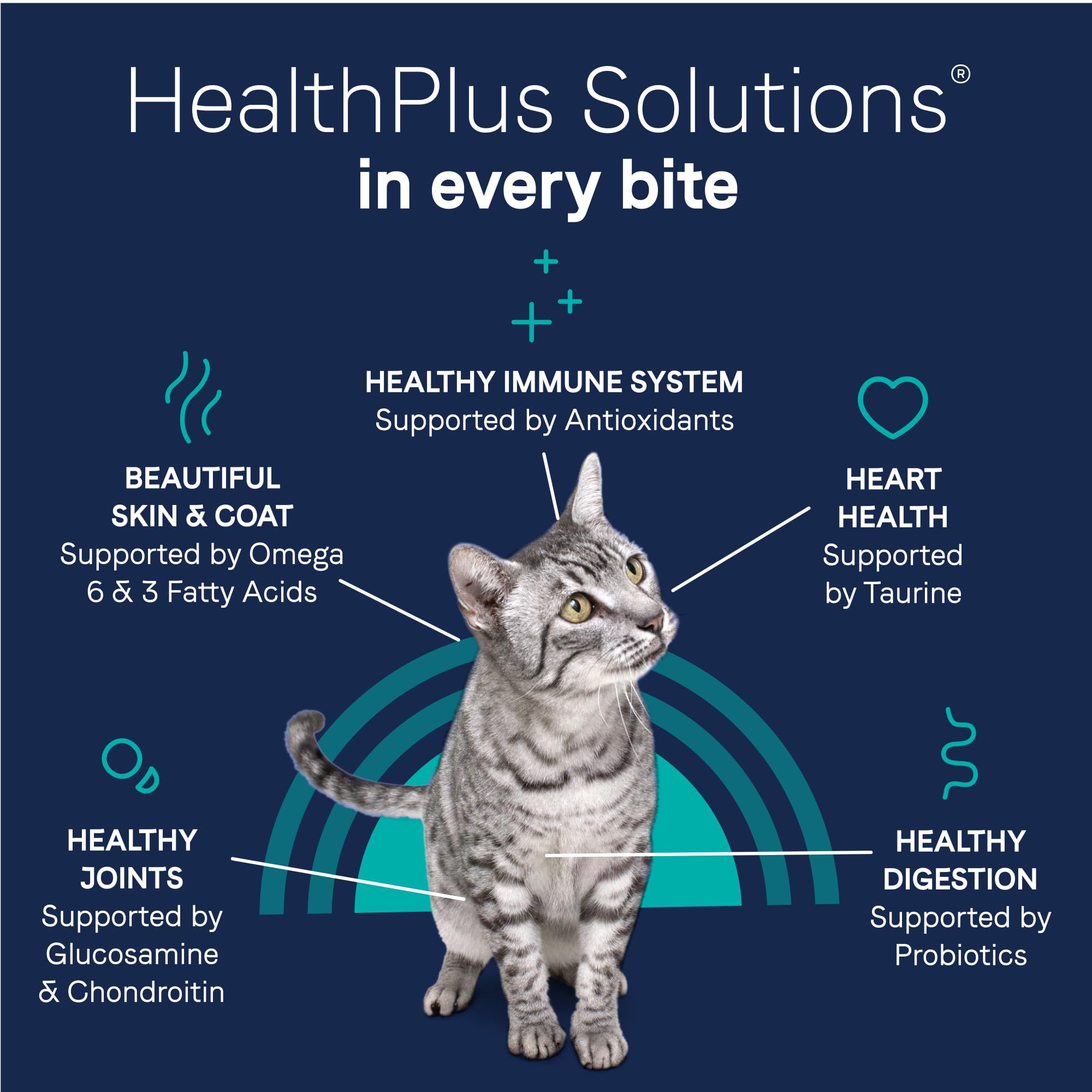 Canidae Pure Limited Ingredient Premium Dry Cat Food, Real Chicken Recipe, 10 lbs, Grain Free