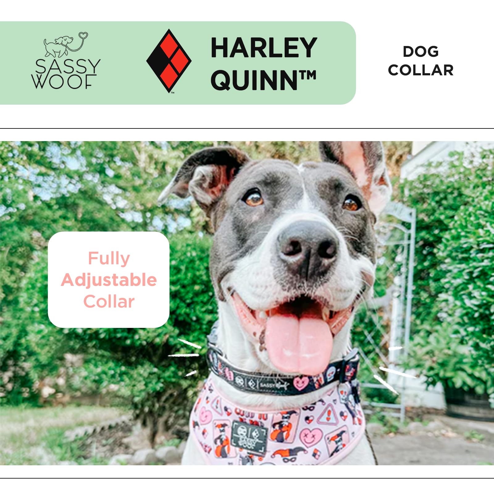 Sassy Woof Dog Collar Harley Quinn - L, Adjustable, Durable, Comfortable And Stylish Pet Accessories For Large Dogs - Officially