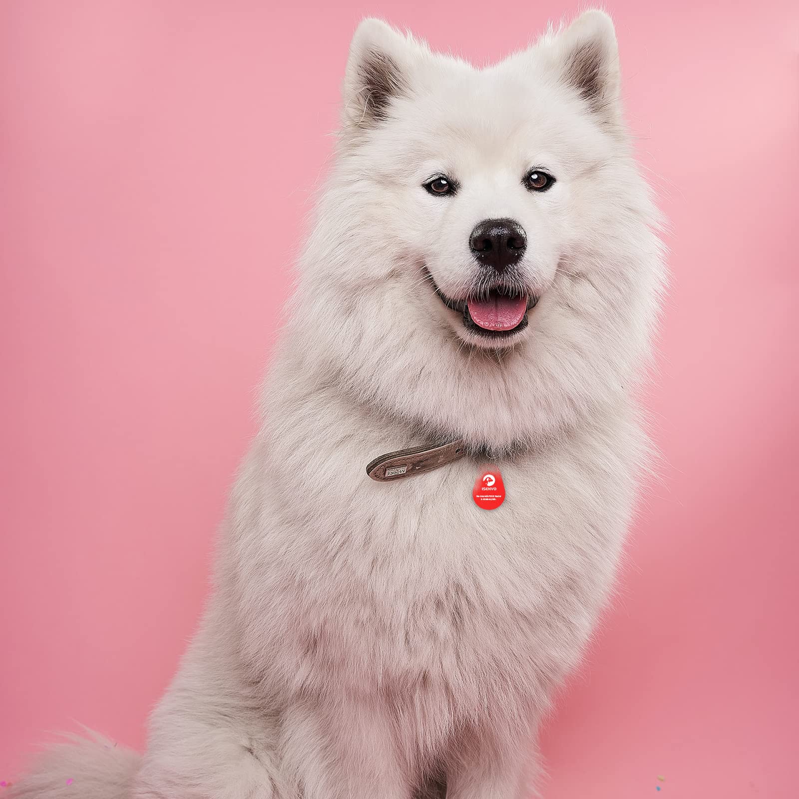Isenvo Smart Pet Id Tag With Microchip, Instant Pet Recovery, Supports Auto Pet Door & Feeder, Lifetime Contact Info Access (Red