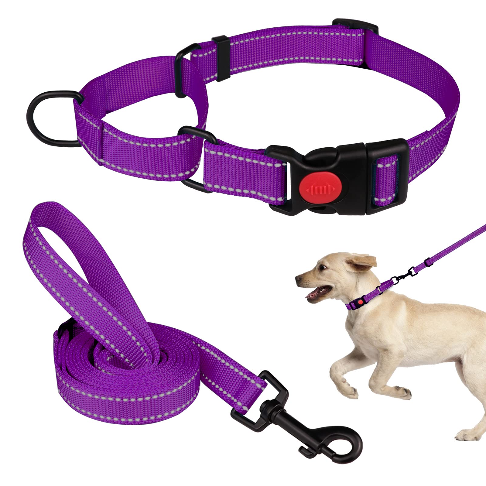 Martingale Dog Collar And Leash Set Martingale Collars For Dogs Reflective Martingale Collar For Small Medium Large Dogs(Purple&