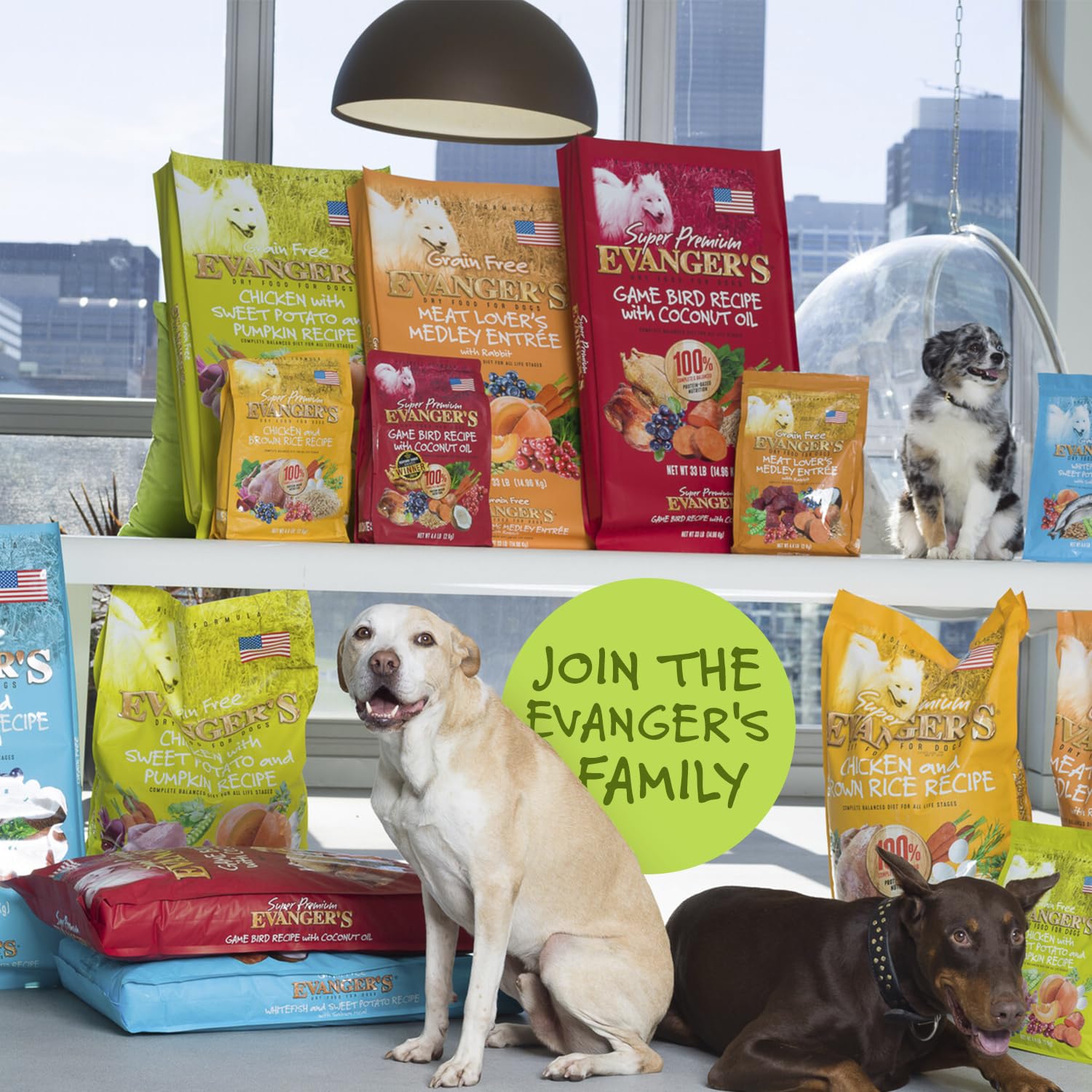 Evangers Grain-Free Chicken with Sweet Potato & Pumpkin for Dogs, 16.5 lb Bag