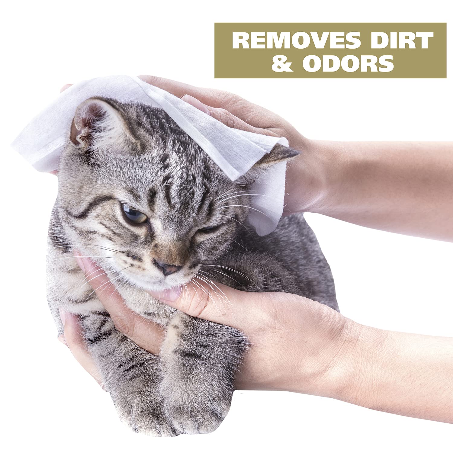Wahl Cat Refresh Cleaning Wipes, Oatmeal Formula, 50 Count, Brown, Model 820017-500