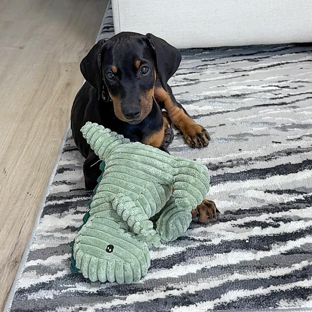 Morelife Naughty Dogs Dinos Plush Squeaky Toy| For Small Medium Large Dogs, All Dog Breeds, Blue And Green Bundle