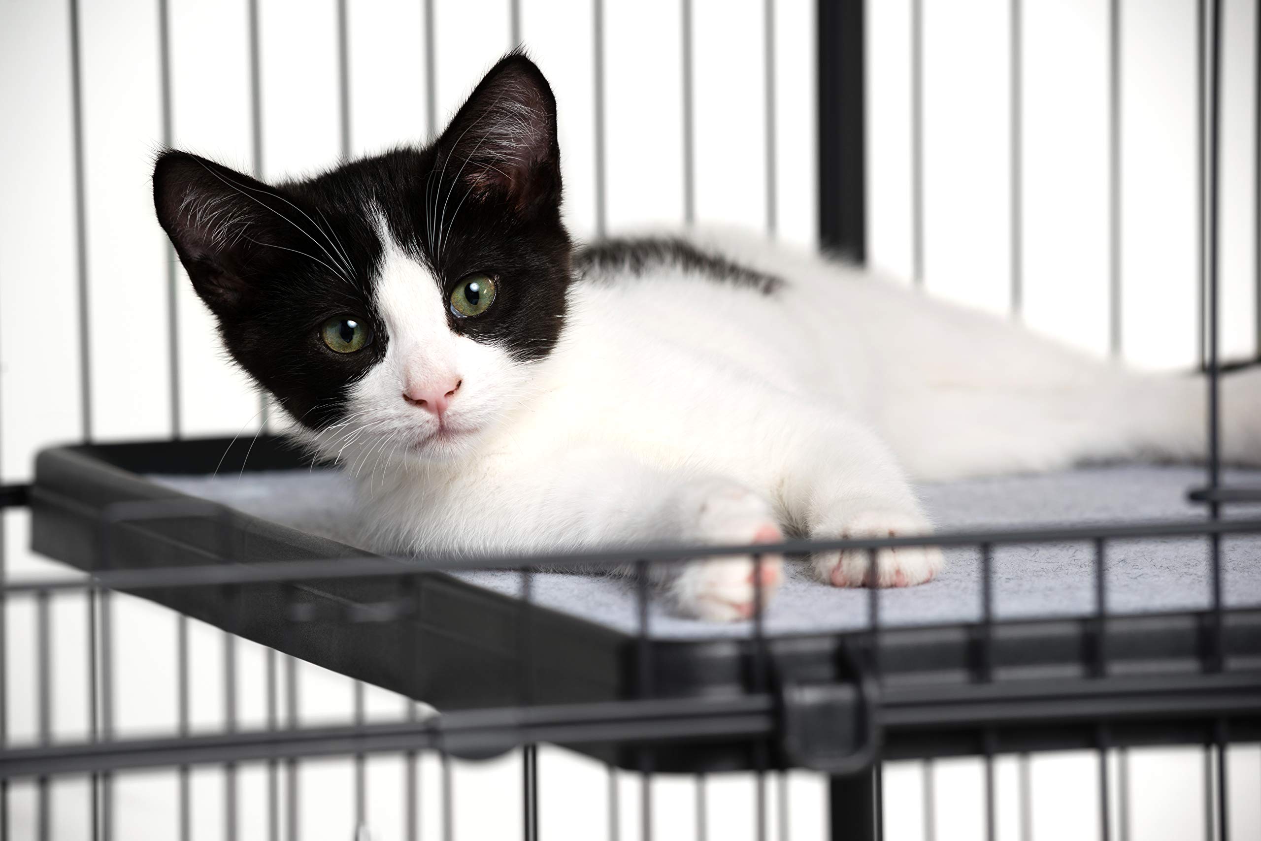 Prevue Pet Products Replacement Platform Shelf For 7500 & 7501 Cat Cages, Black (7503)