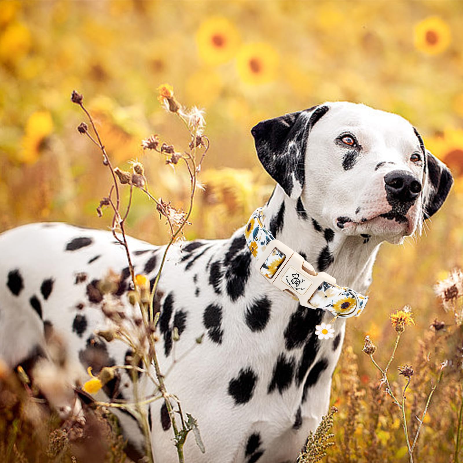 Elegant Little Tail Dog Collar,Sunflower Pattern Pet Collar Cute Durable Spring Female Or Male Adjustable Cotton Pet Collar With