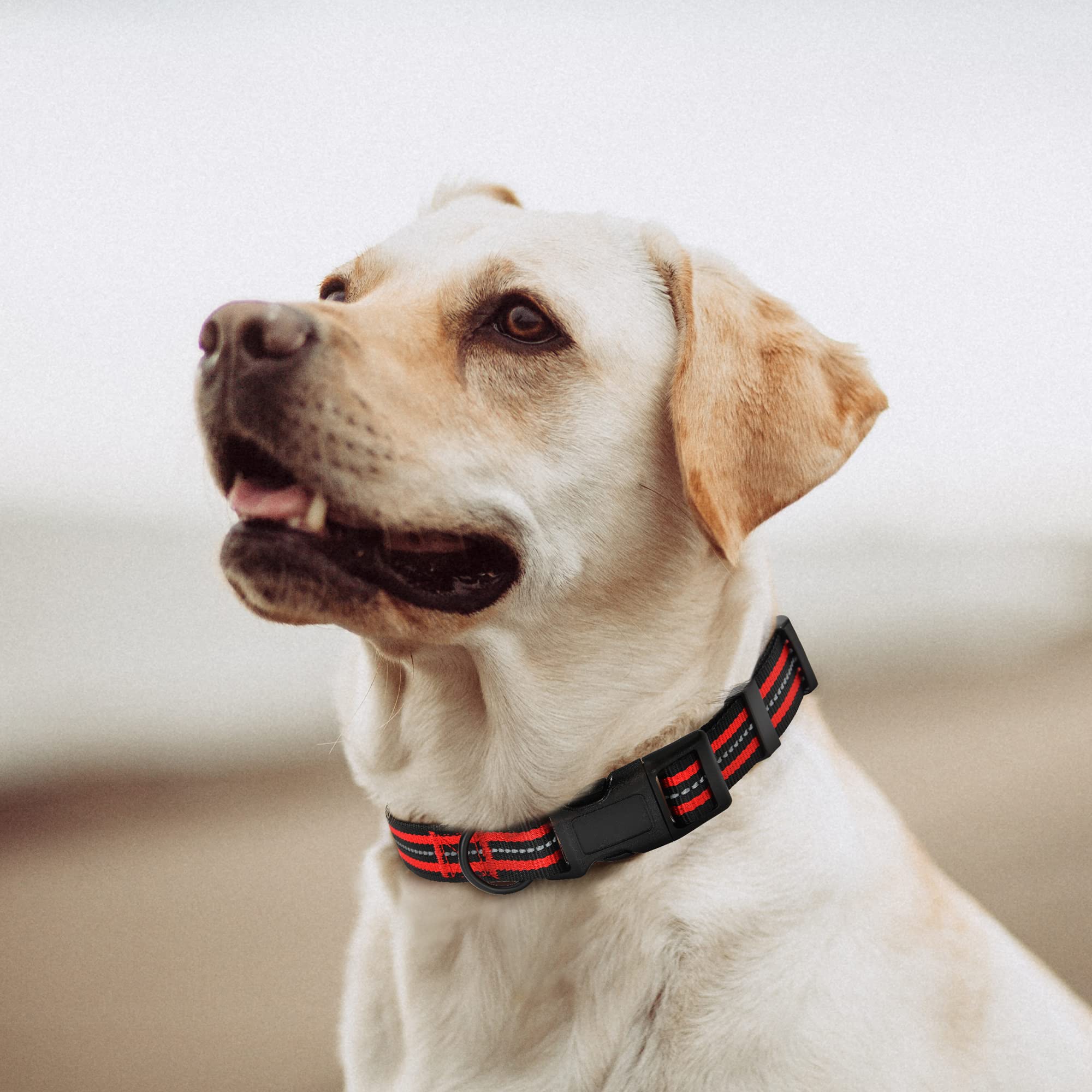 Mile High Life Reflective Dog Collar | Nylon Pet Collars Wiith Buckle | Light Weight Puppy Collars | Red Dog Collars For Large D