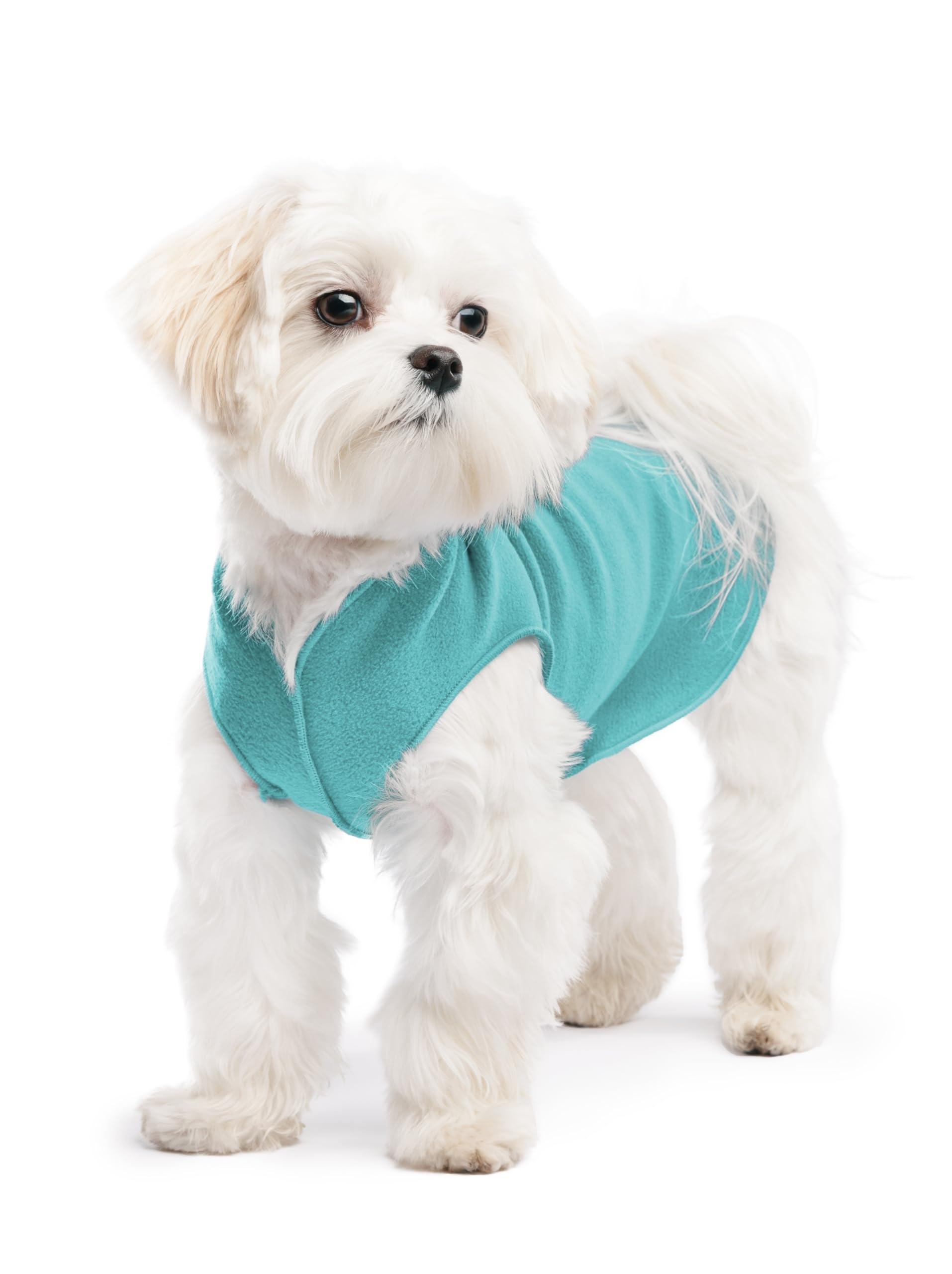 Gold Paw Stretch Fleece Dog Coat, Stretchy Pet Sweater, Machine Washable Pullover For Winter And Fall, Turquoise, 8