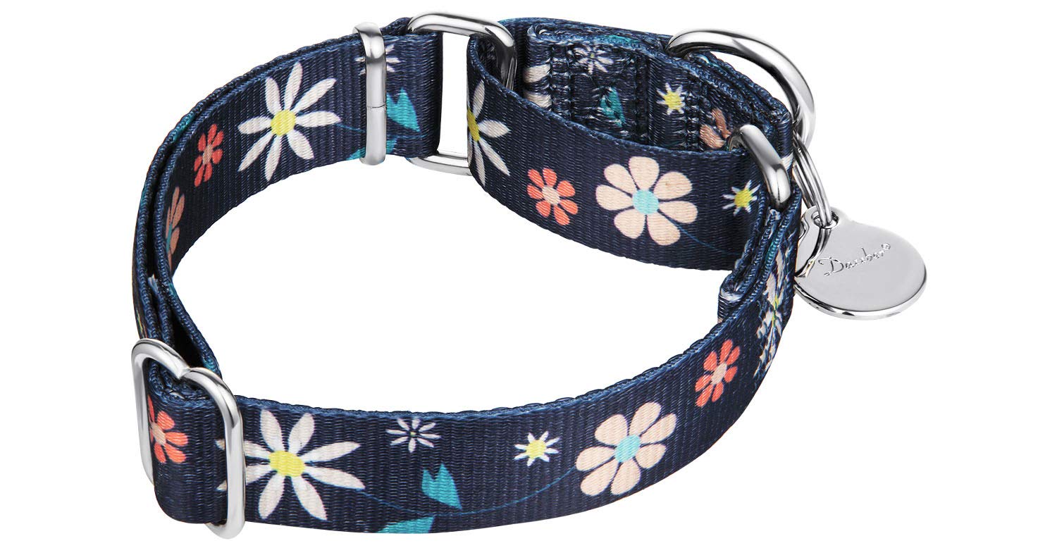 Dazzber Martingale Collar Floral Print Puppy Dog Collar - No Pull Pet Collar, Heavy Duty Adjustable Dog Collar, Small, Neck 10 Inch -15 Inch, Elegant Flowers (Dark Blue)