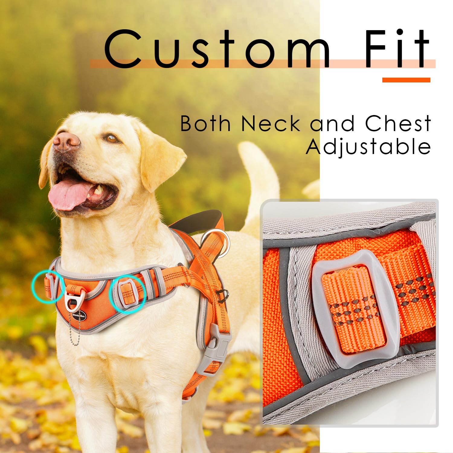 ADVENTUREMORE Medium Dog Harness - No Pull, Reflective, Adjustable, Escape Proof, Orange, Model CPHA-0415