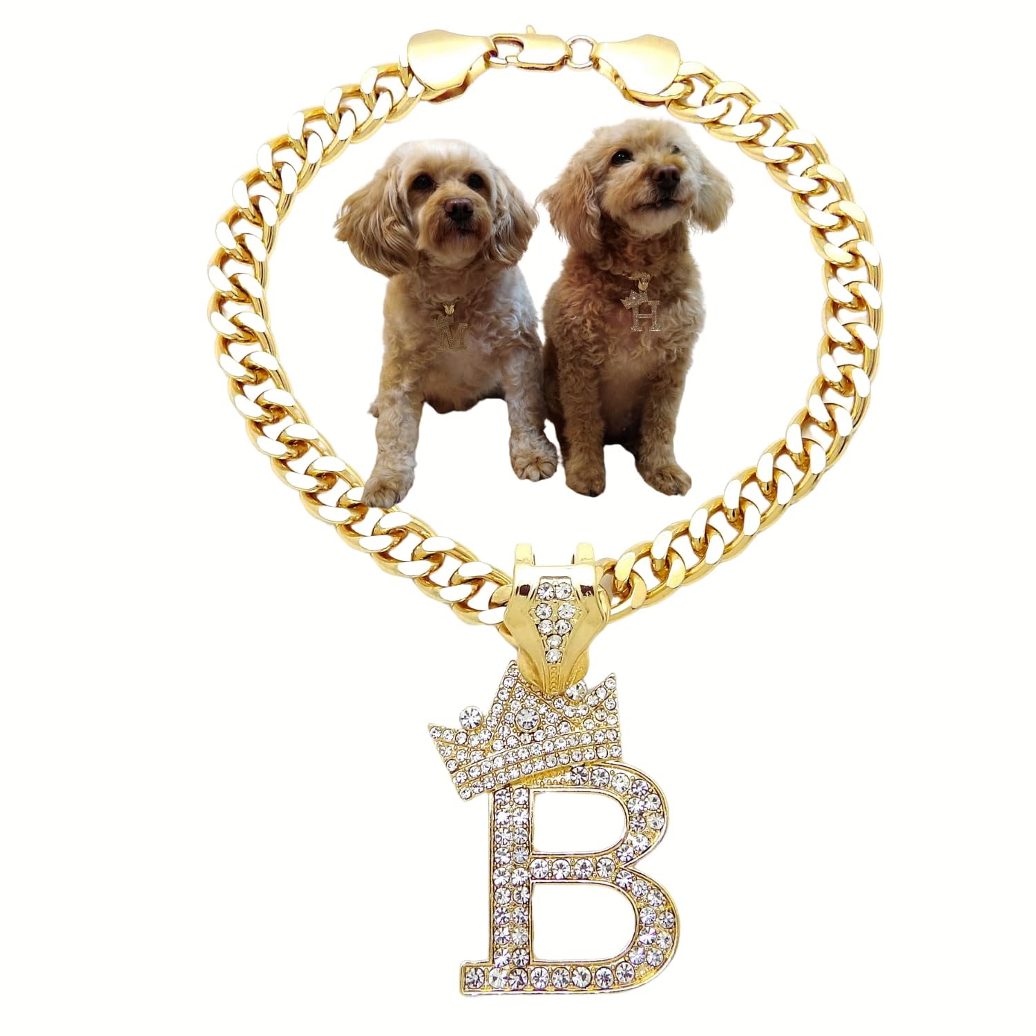 Ba Unique Fashion Initial Letter Cuban Chain Dog Chain Pet Chain Pet, Cat, Puppy Necklace (B, 18')