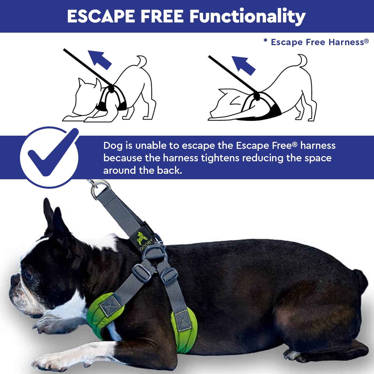 Gooby Escape Free Memory Foam Harness - Green, Large - No Pull Step-in Small Dog Harness with Four Point Adjustment - Perfect on