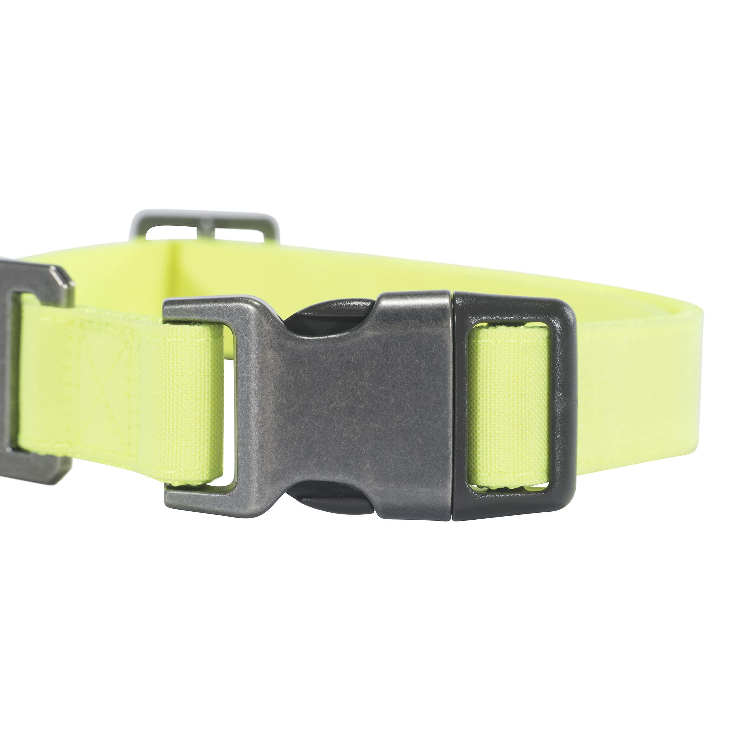 Carhartt Nylon Duck Dog Collar, Fully Adjustable Durable 2-Ply Cordura Nylon Canvas Collars For Dogs, Brite Lime, Large