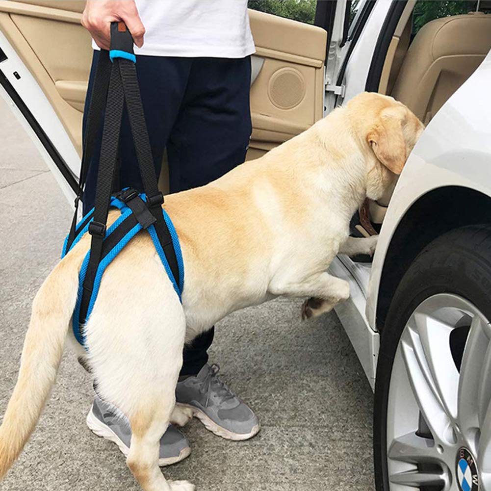 Coppthinktu Dog Lift Harness - Large Adjustable Mesh Support for Senior & Injured Dogs - Blue